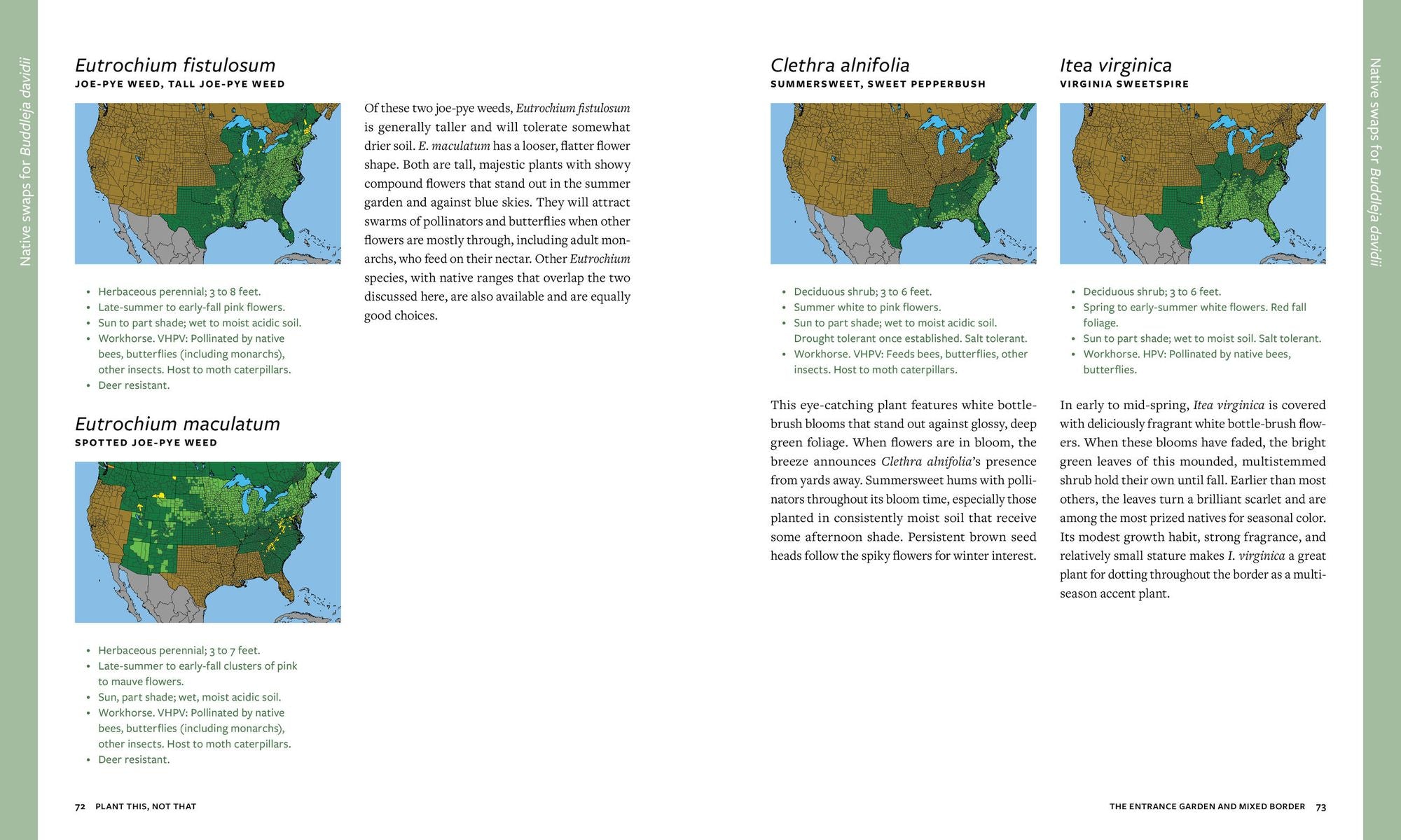 Plant This, Not That: Over 200 Native Plant Swaps for a More Sustainable, Pollinator-Friendly Garden