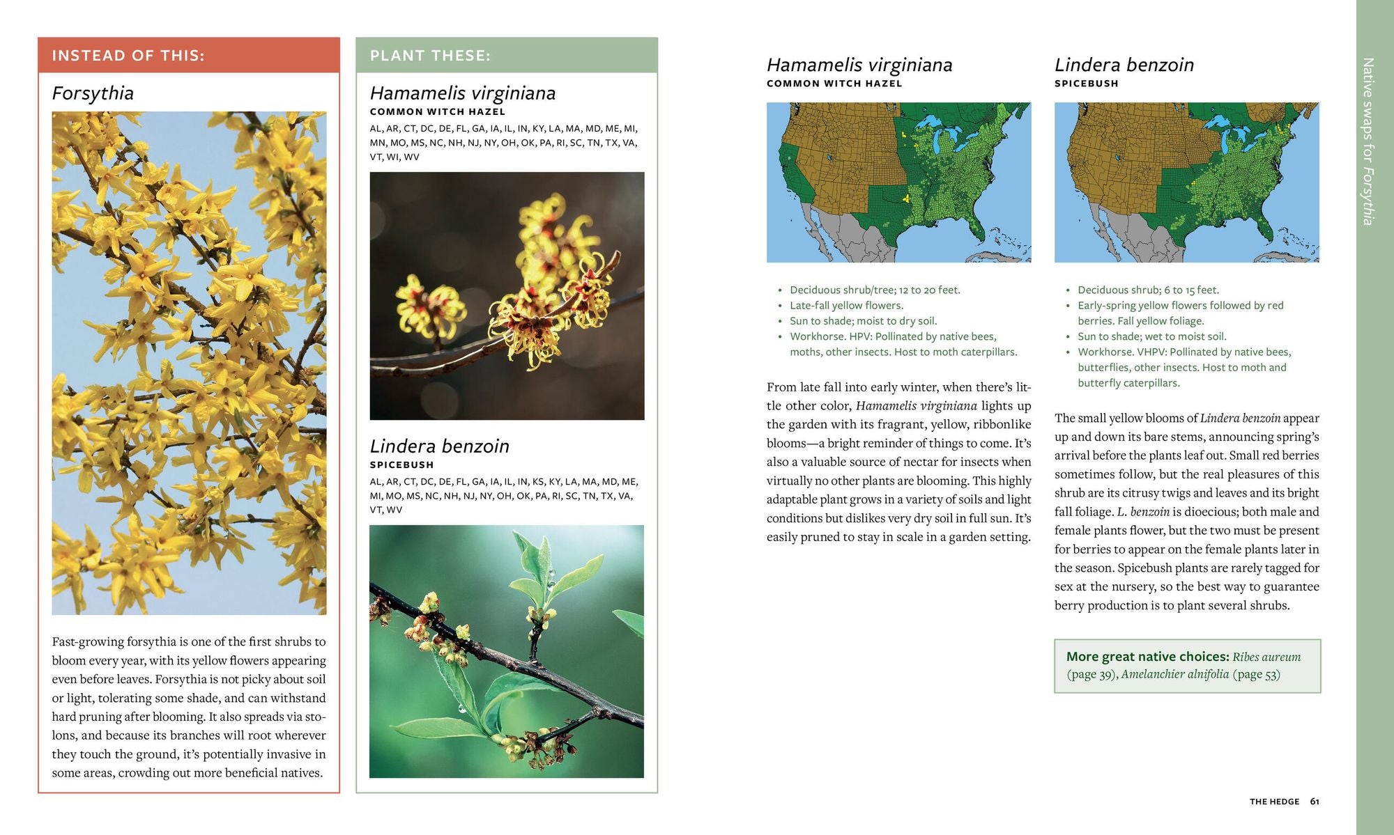 Plant This, Not That: Over 200 Native Plant Swaps for a More Sustainable, Pollinator-Friendly Garden
