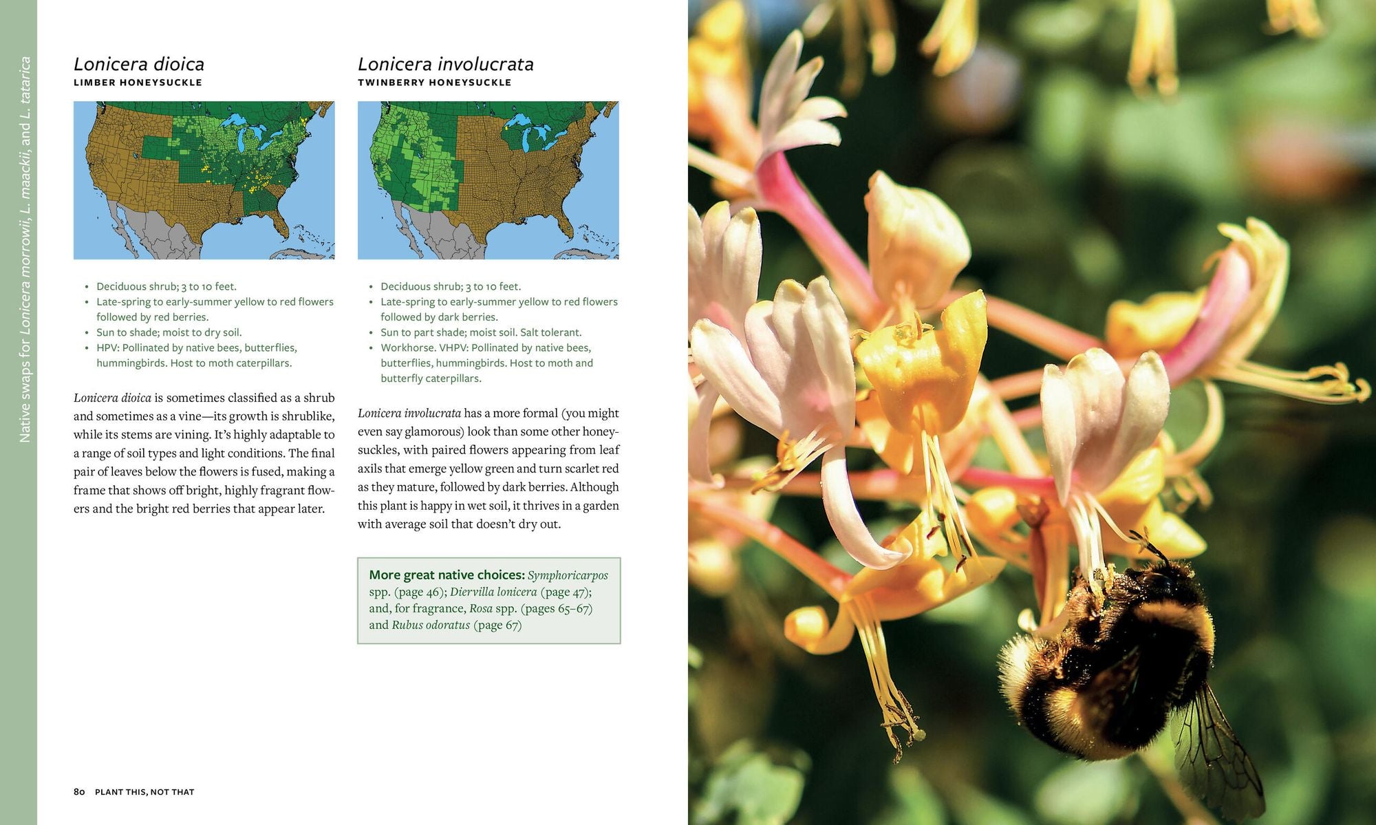 Plant This, Not That: Over 200 Native Plant Swaps for a More Sustainable, Pollinator-Friendly Garden