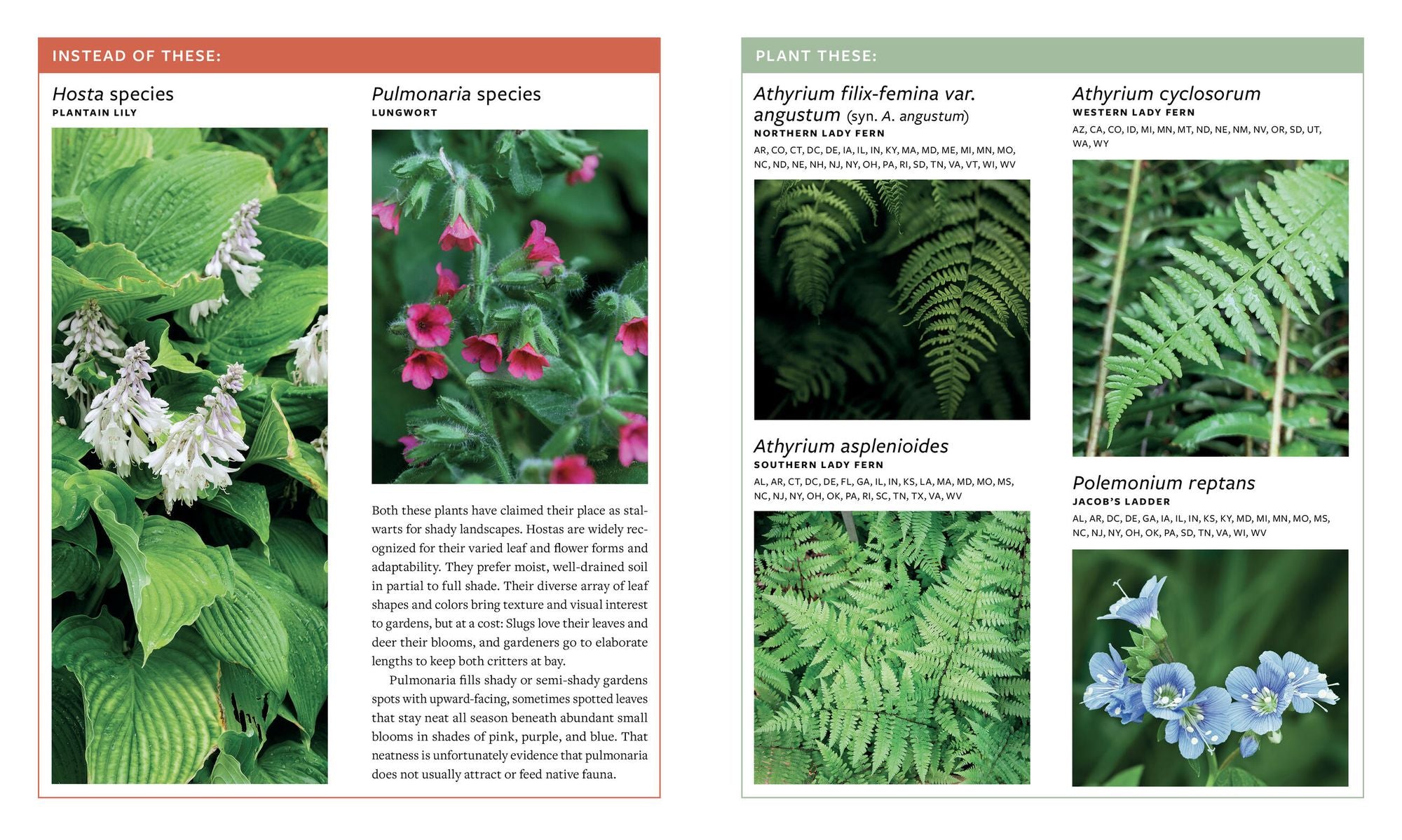 Plant This, Not That: Over 200 Native Plant Swaps for a More Sustainable, Pollinator-Friendly Garden