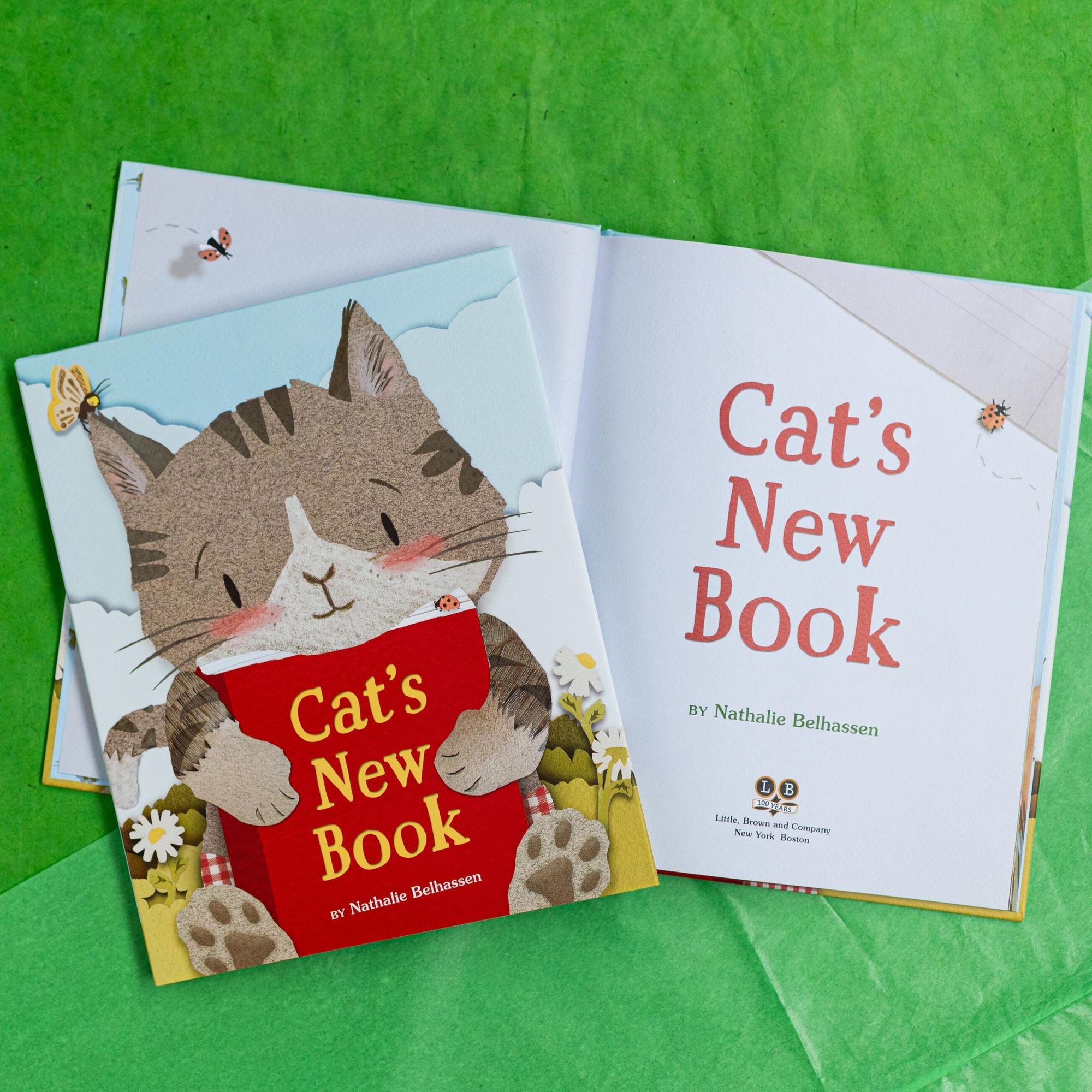 Cat's New Book