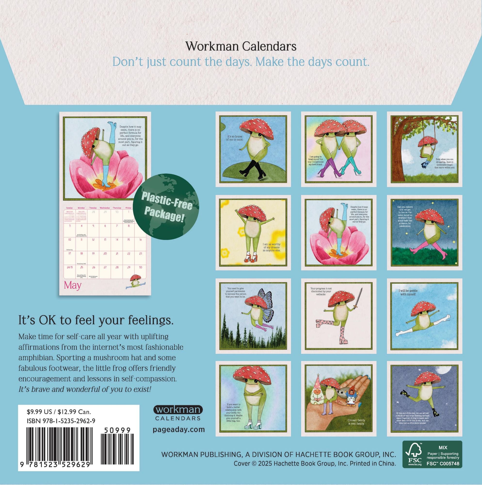 2026 Little Frog's Guide to Self-Care Mini Wall Calendar