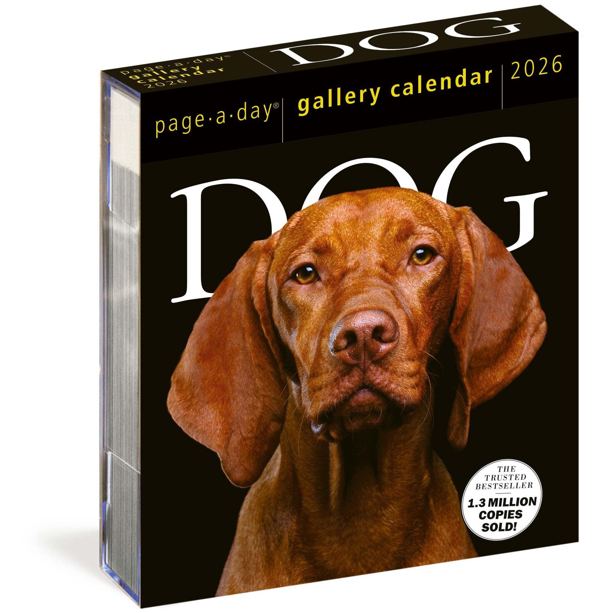 Dog Page-A-Day Gallery Calendar 2026: An Elegant Canine Celebration
