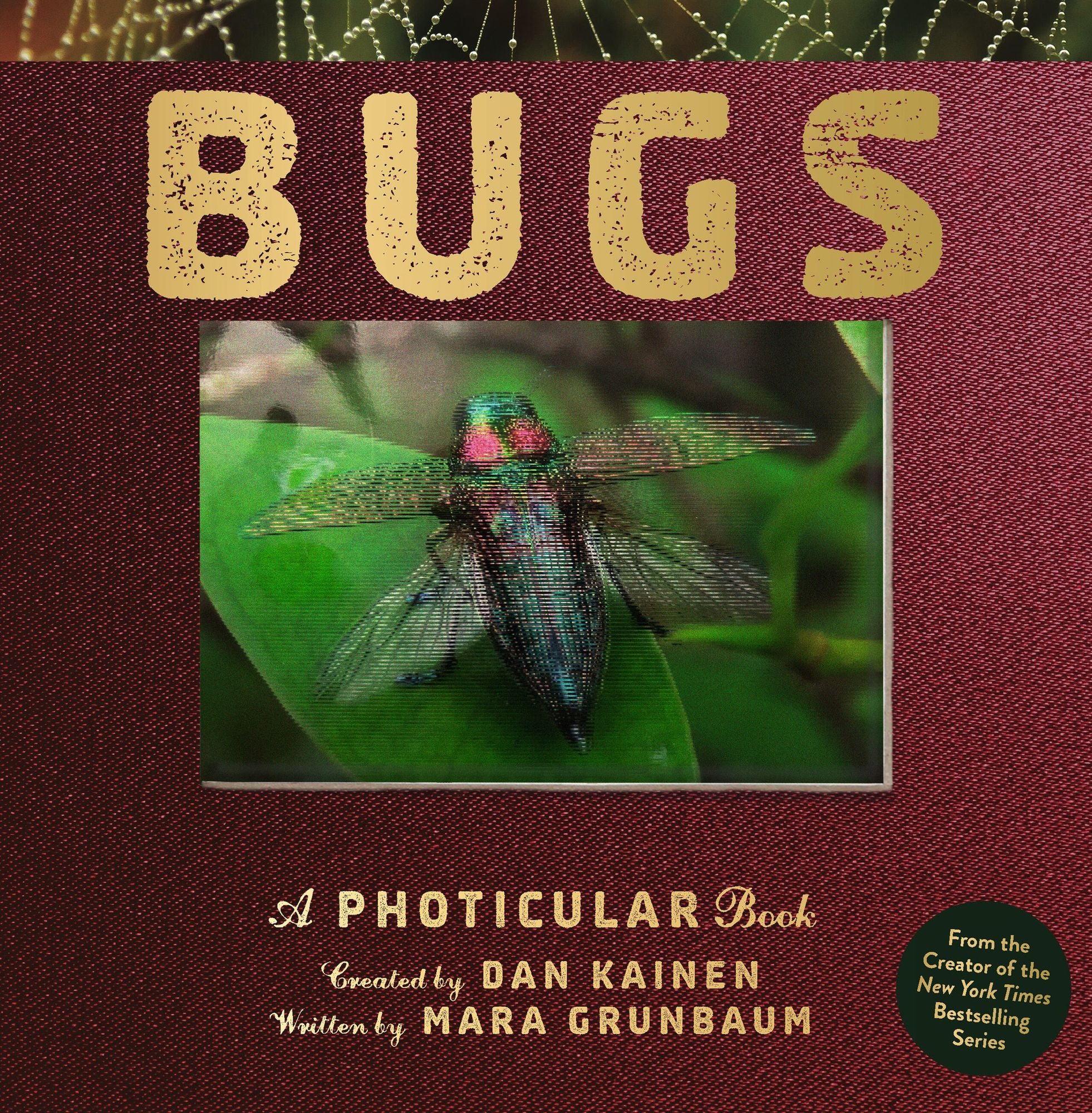 Bugs: A Photicular Book