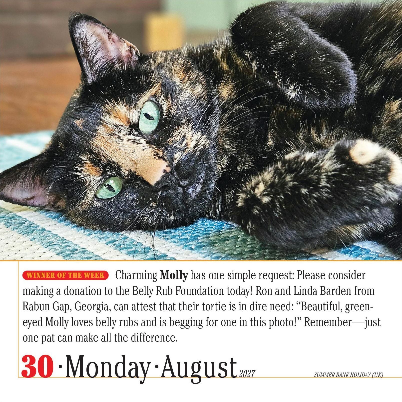 2027 365 Cats Page-A-Day Calendar