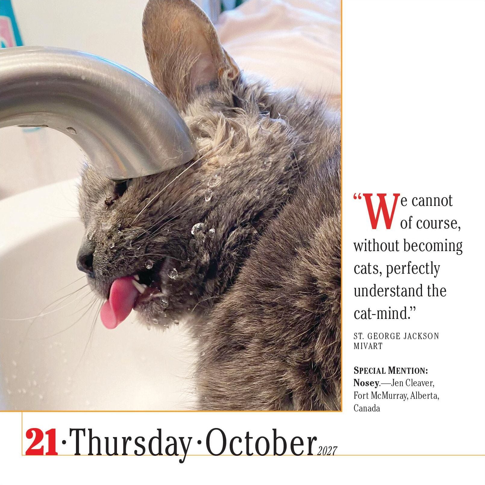 2027 365 Cats Page-A-Day Calendar