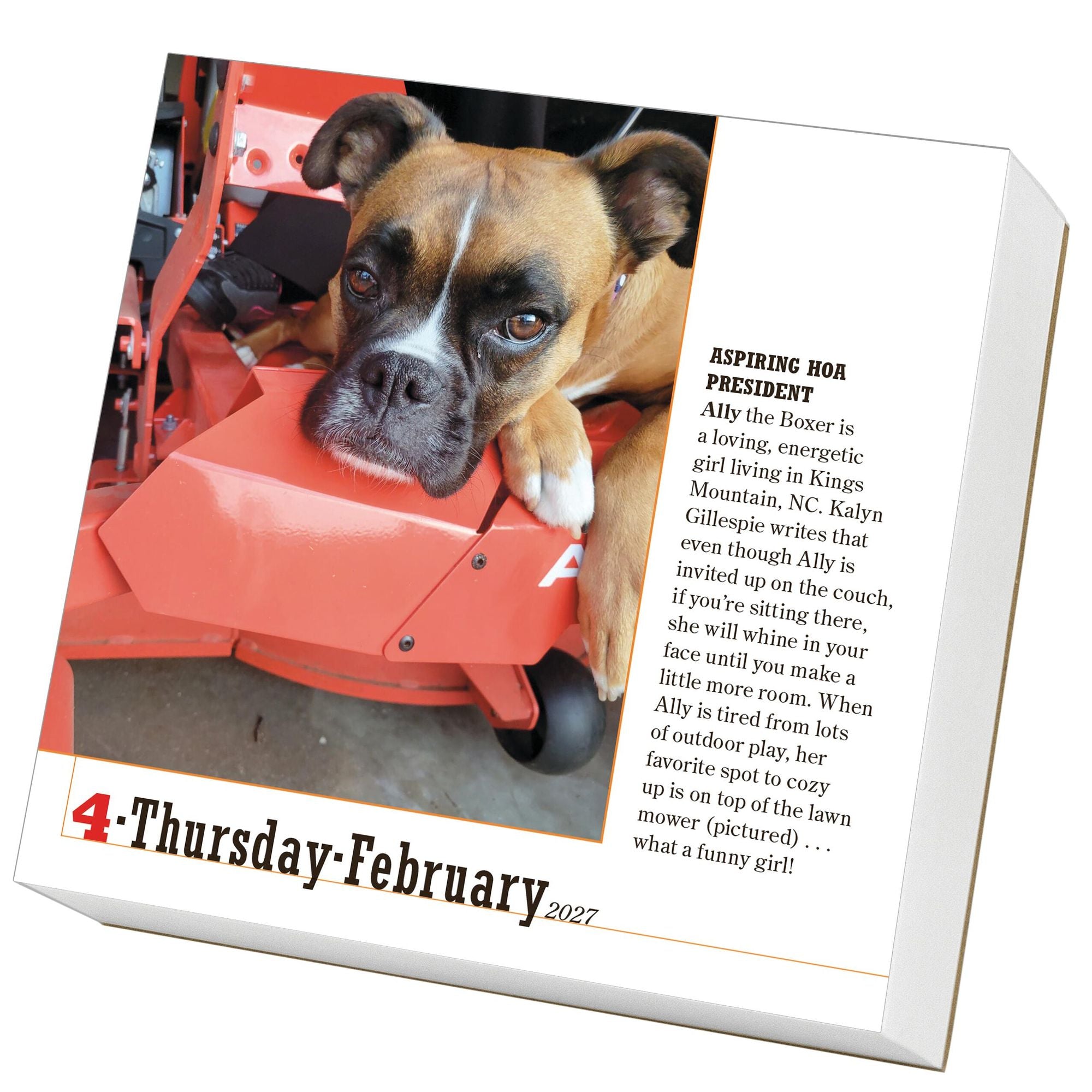 2027 365 Dogs Page-A-Day Calendar