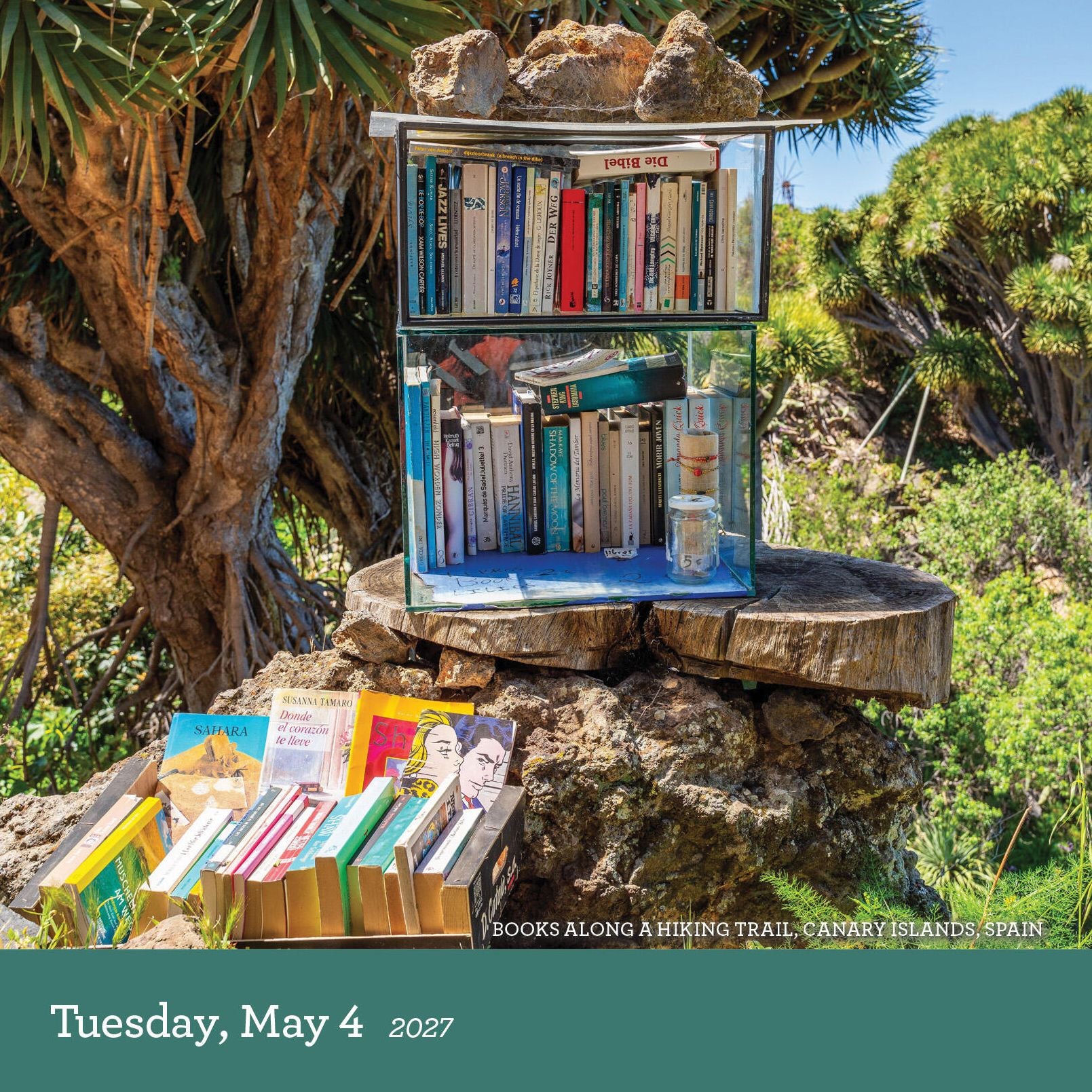 2027 A Book Lover's Year Page-A-Day Calendar
