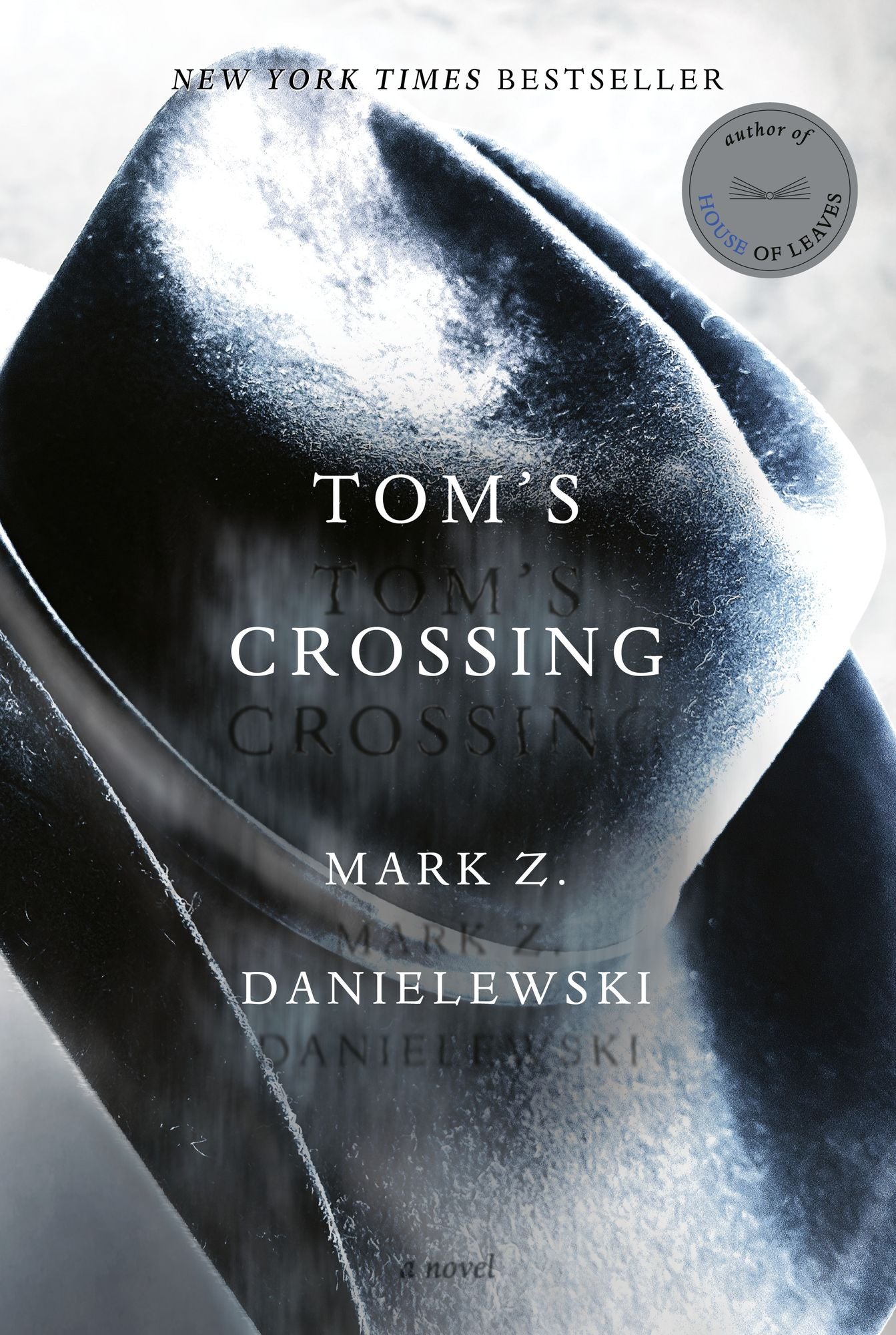 Tom's Crossing: A Novel