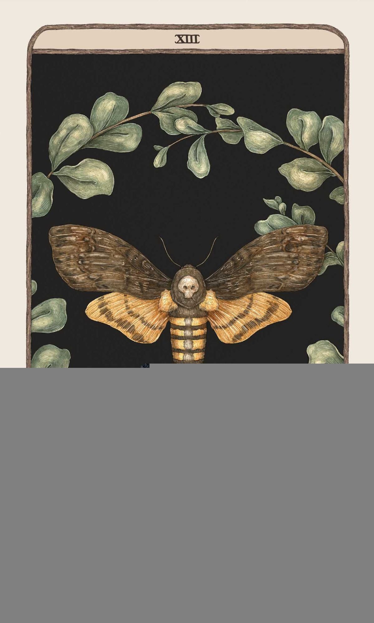 Woodland Wardens: A 52-Card Oracle Deck & Guidebook