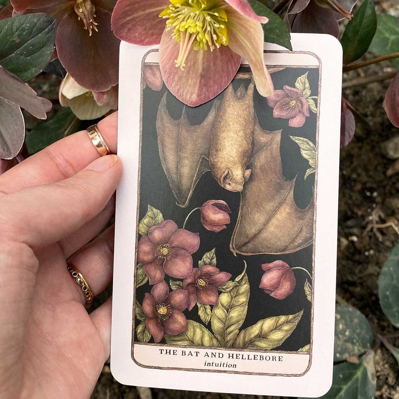 Woodland Wardens: A 52-Card Oracle Deck & Guidebook