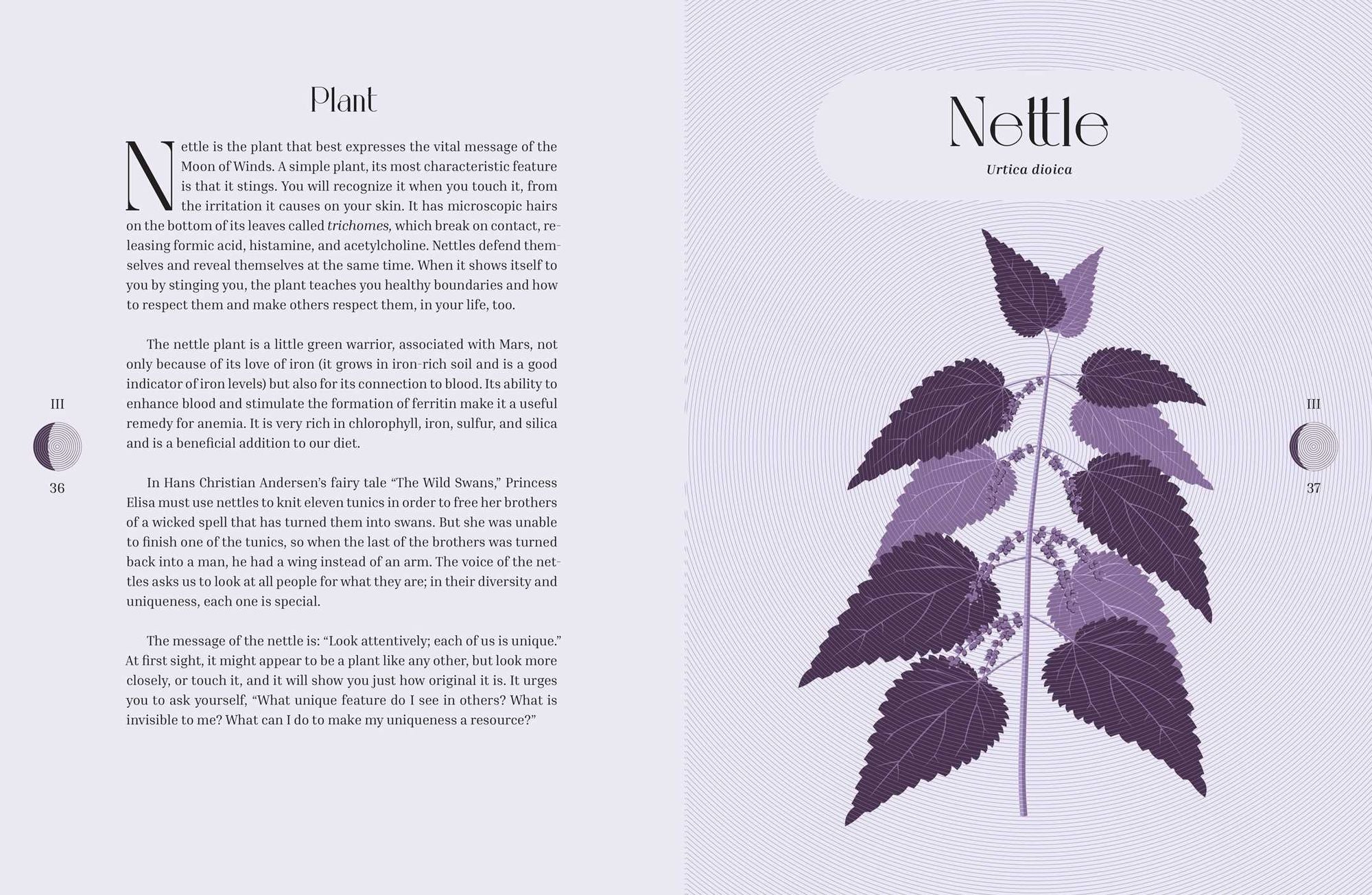 Moon Phases: Use the Lunar Cycle to Connect with Nature and Focus Your Intentions