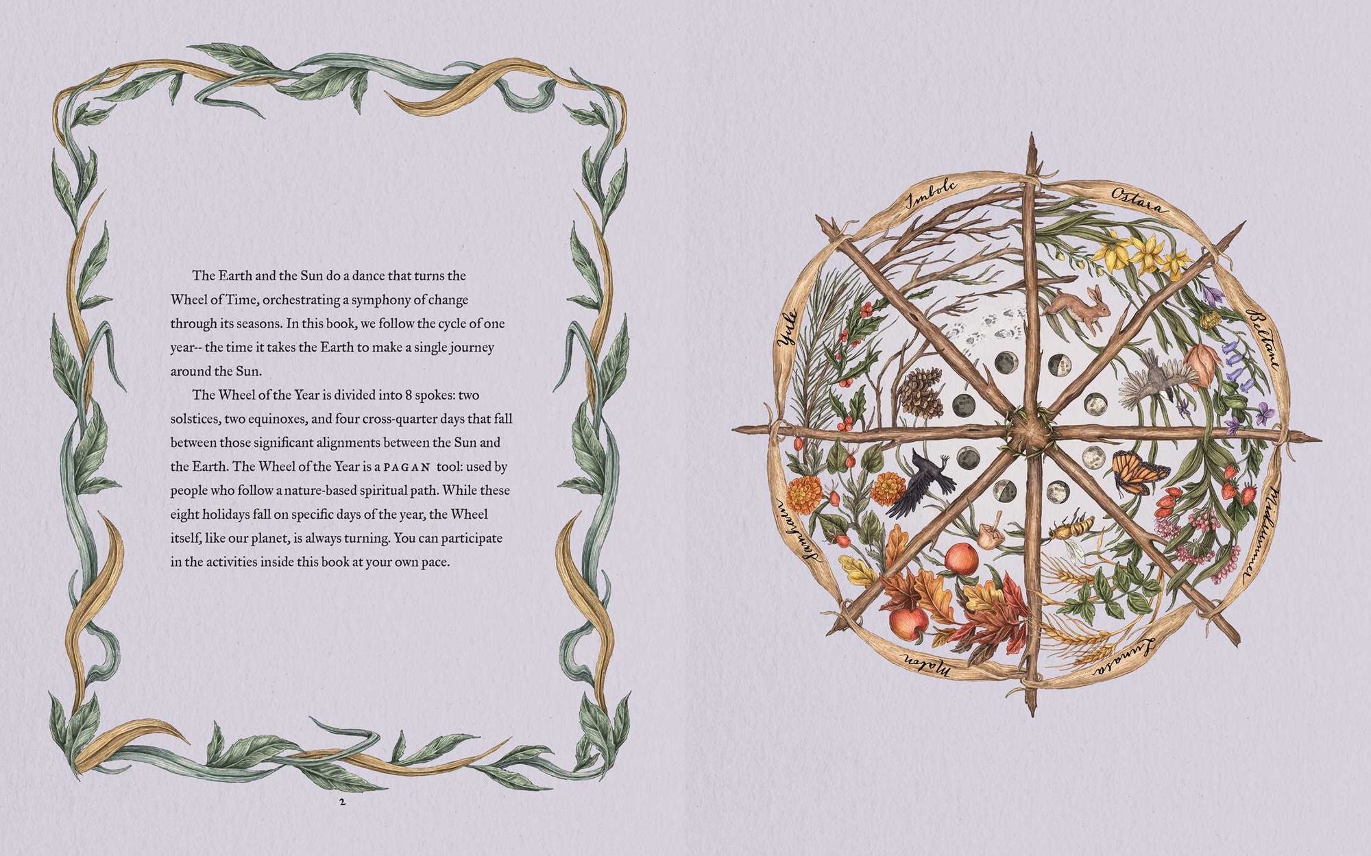 The Wheel of the Year: An Illustrated Guide to Nature's Rhythms