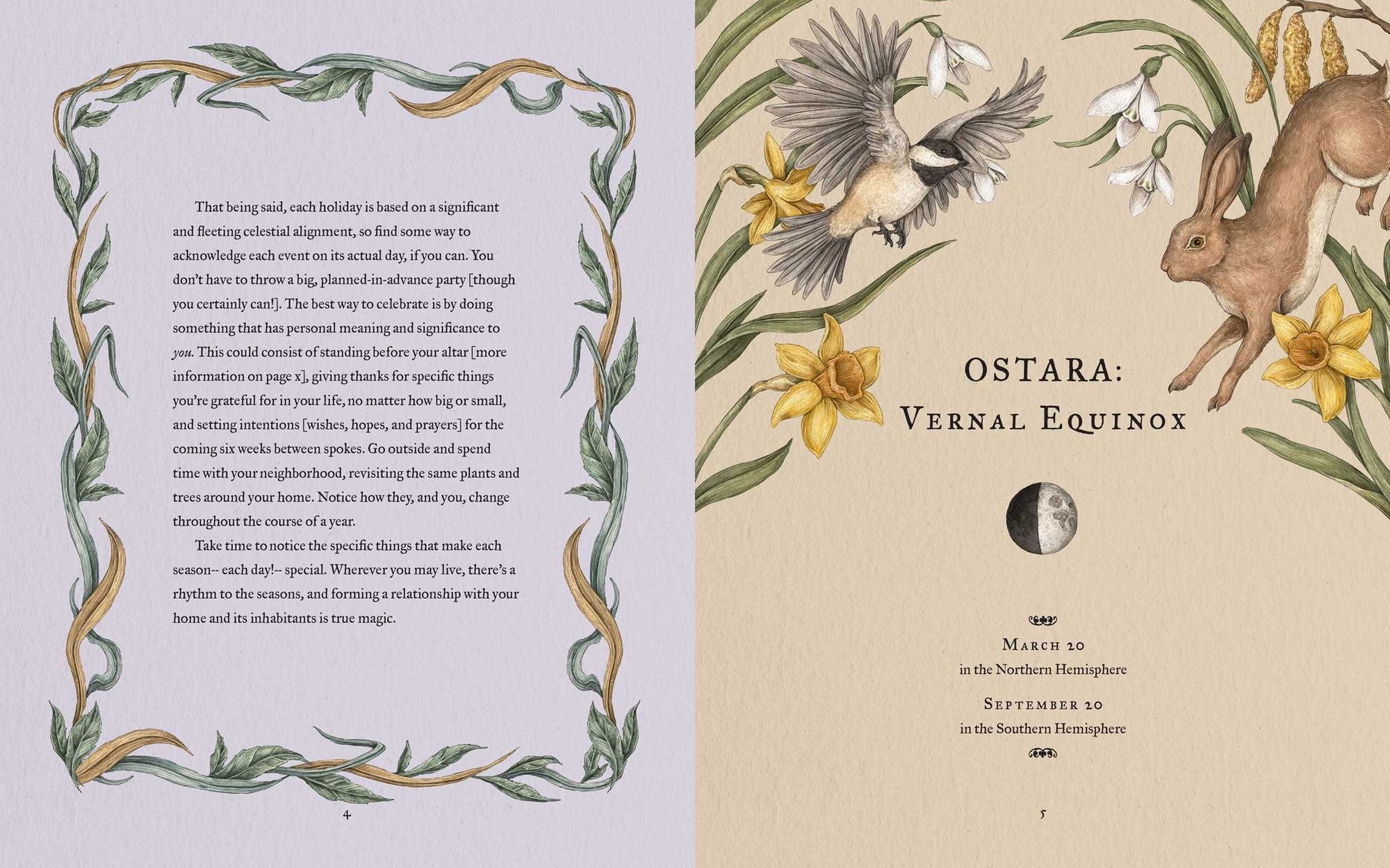 The Wheel of the Year: An Illustrated Guide to Nature's Rhythms