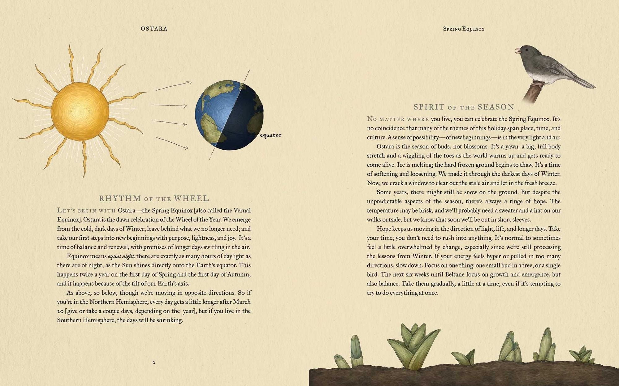 The Wheel of the Year: An Illustrated Guide to Nature's Rhythms