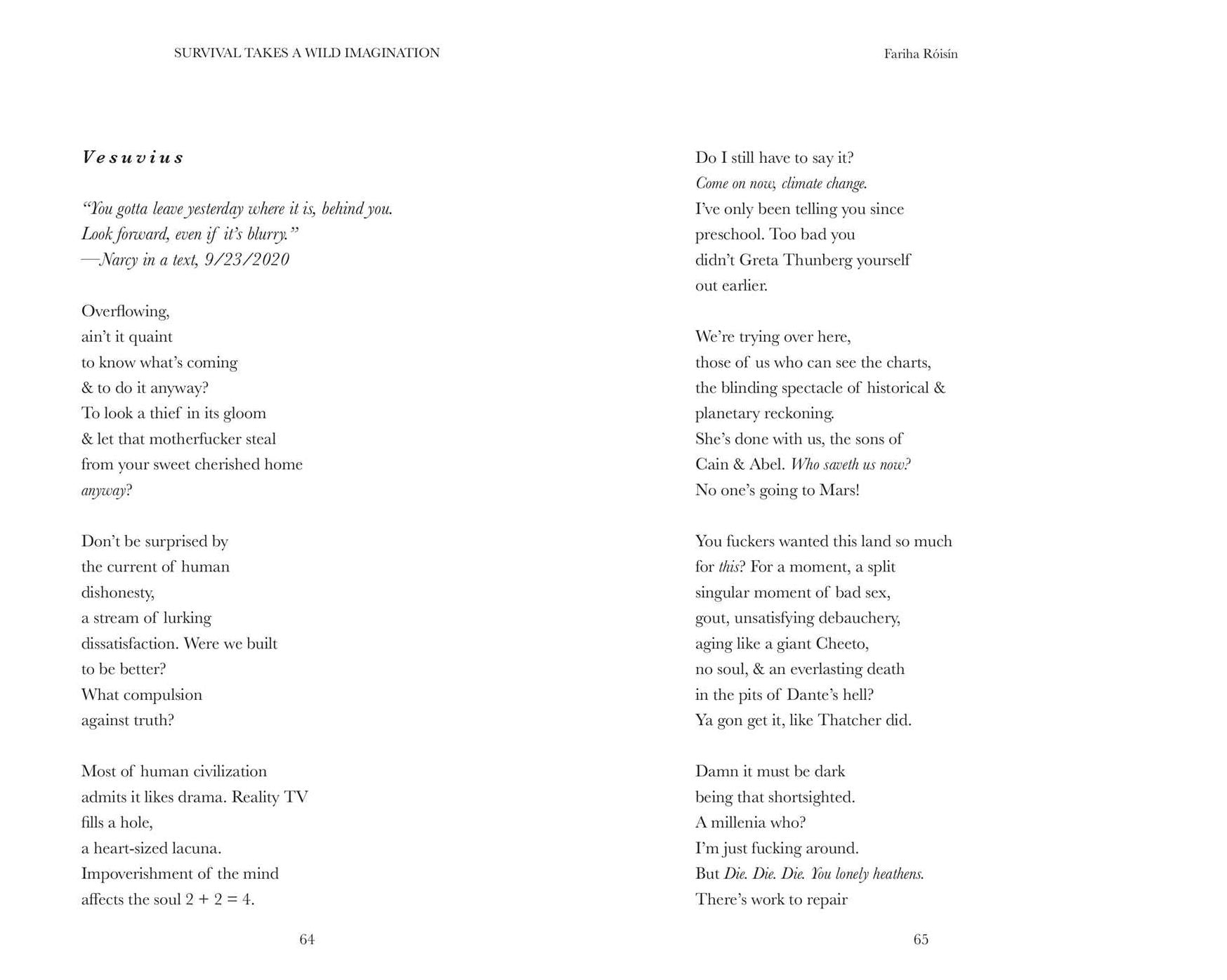 Survival Takes a Wild Imagination: Poems