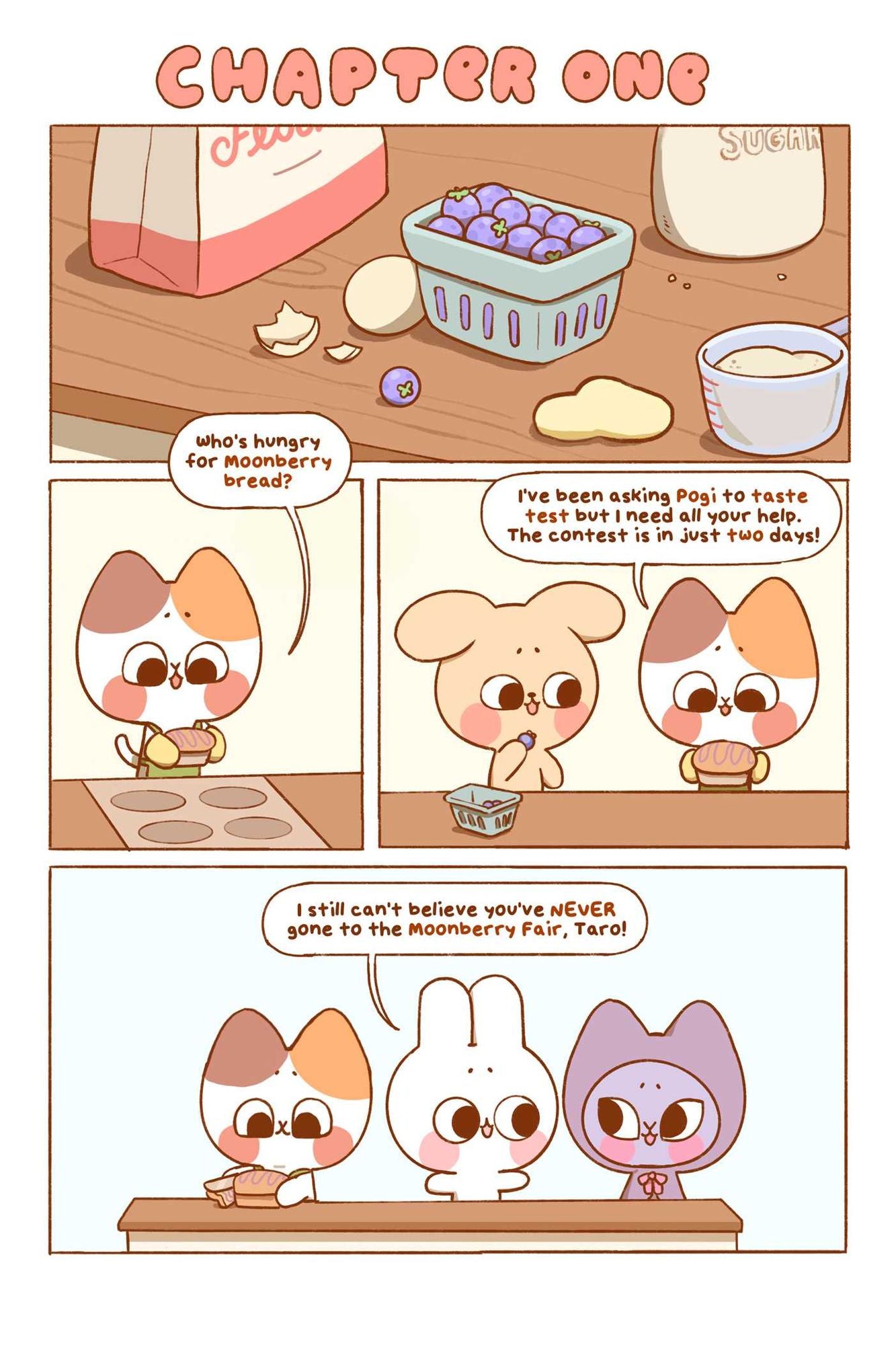 Pocket Peaches: At the Fair