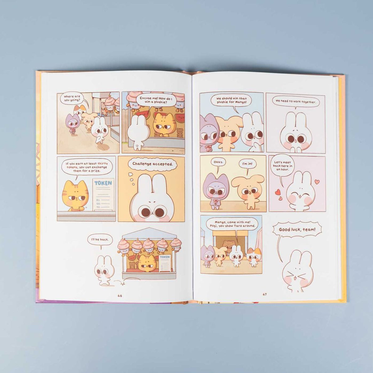 Pocket Peaches: At the Fair