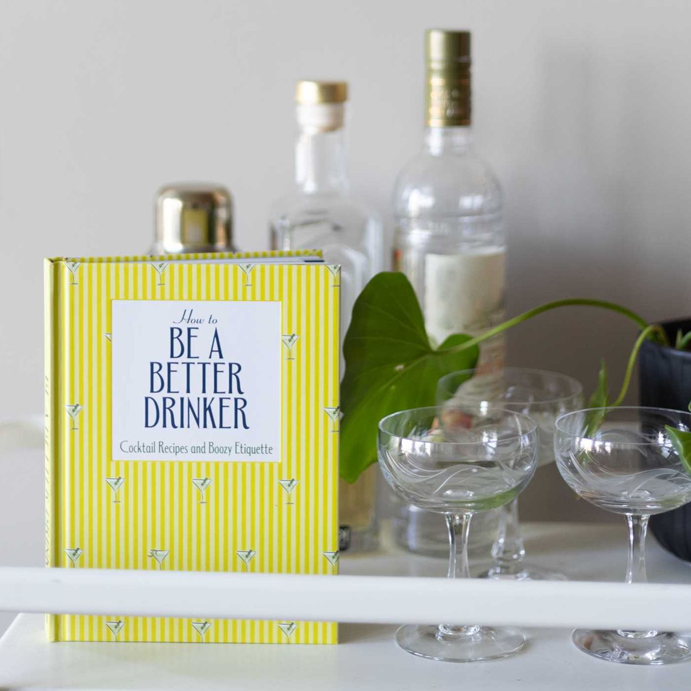 How to Be a Better Drinker: Cocktail Recipes and Boozy Etiquette