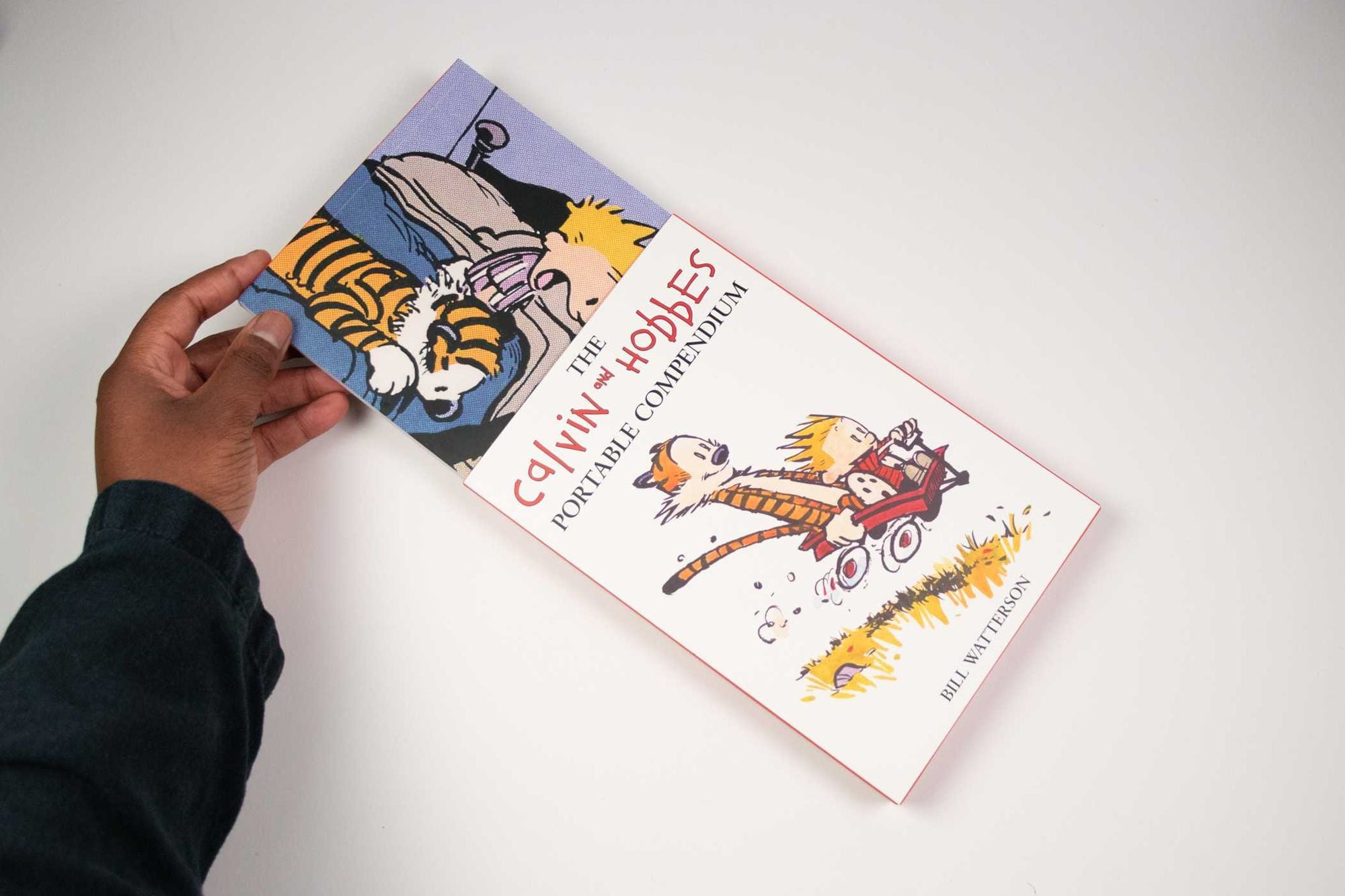 The Calvin and Hobbes Portable Compendium Set 1