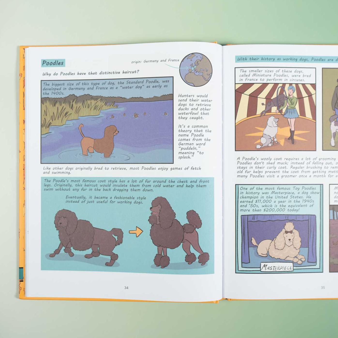 Why Are Dogs: An Illustrated History of the Wonderful World of Dogs