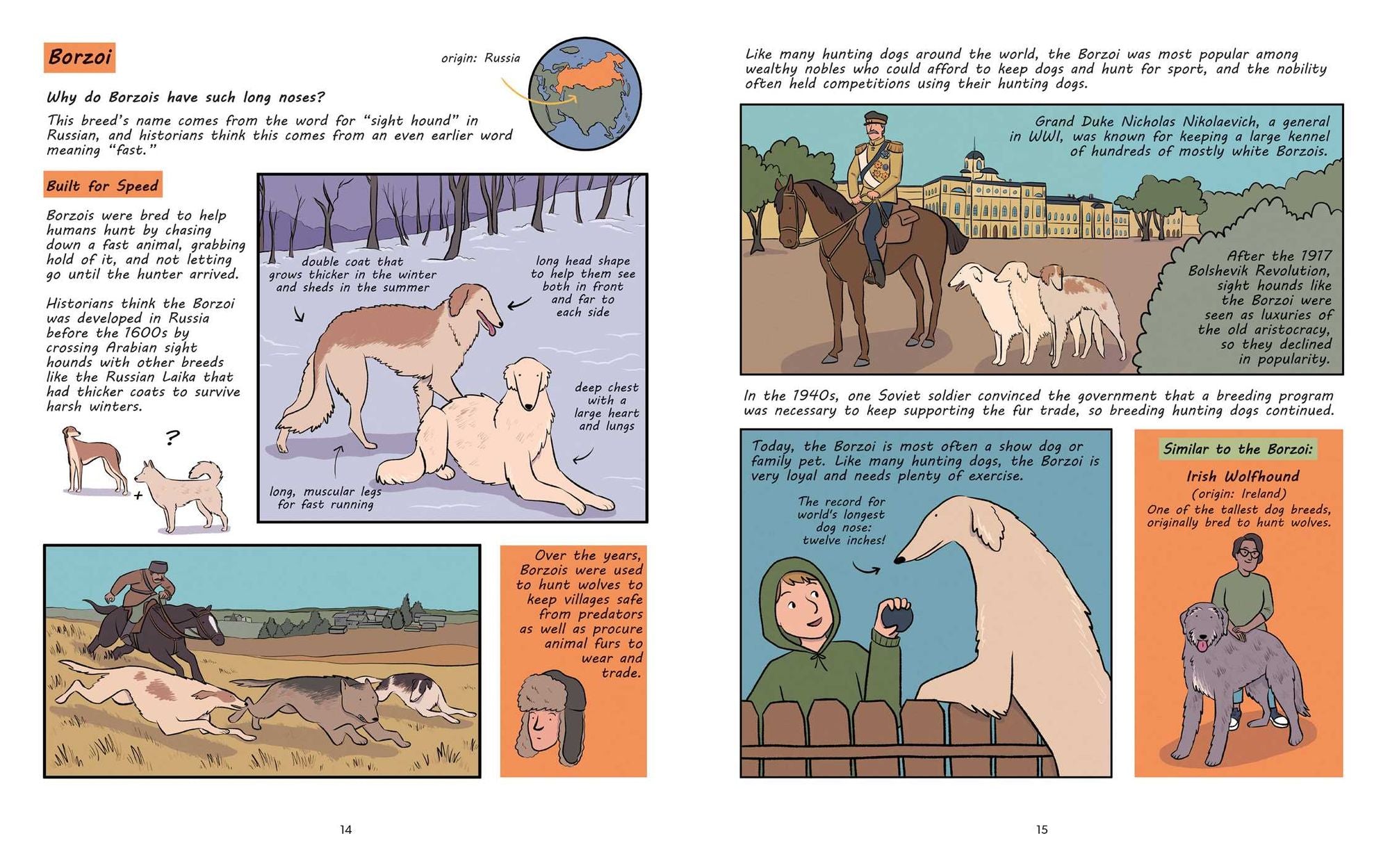 Why Are Dogs: An Illustrated History of the Wonderful World of Dogs