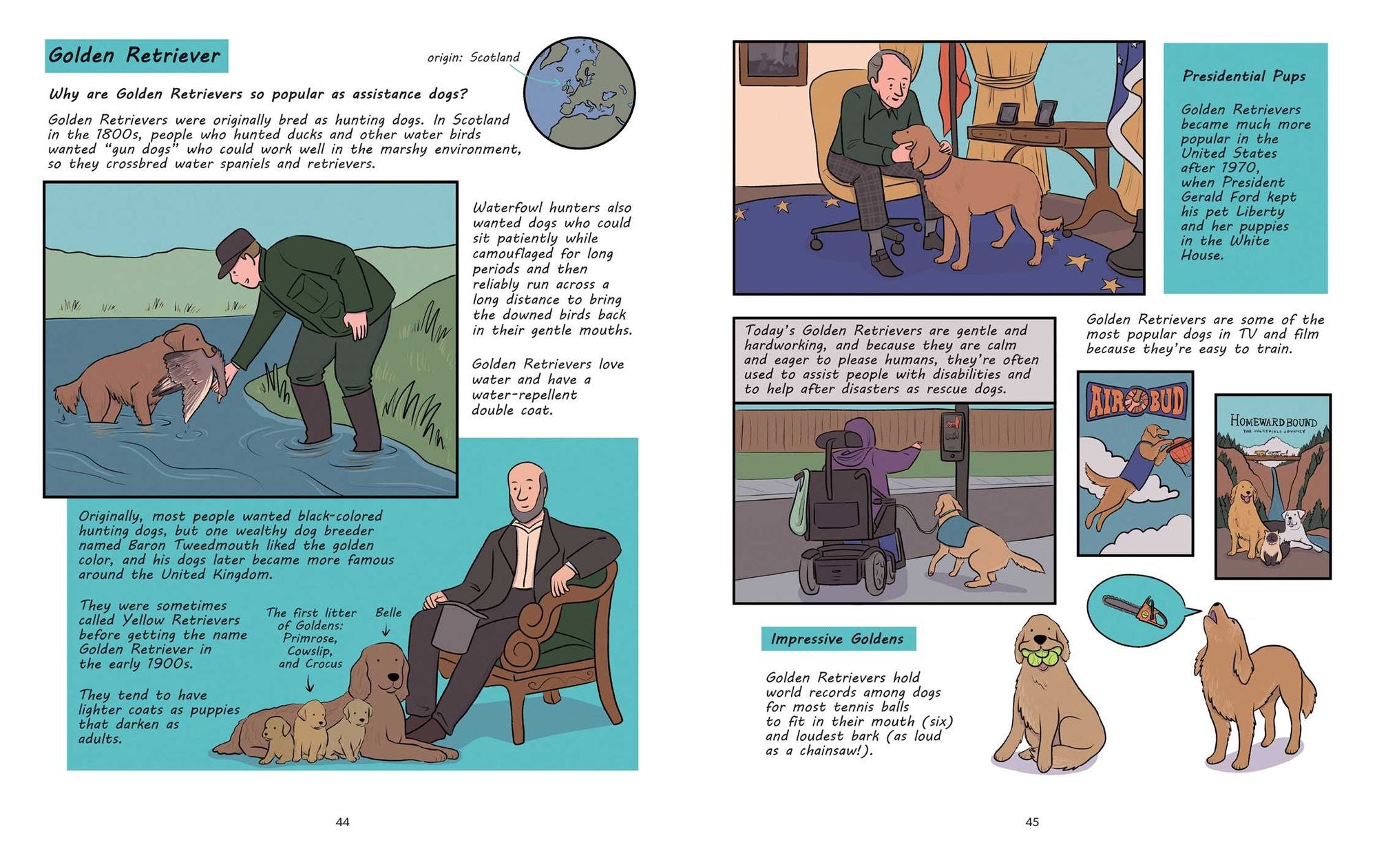 Why Are Dogs: An Illustrated History of the Wonderful World of Dogs