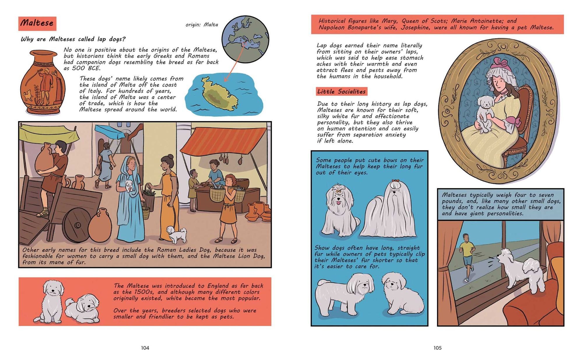 Why Are Dogs: An Illustrated History of the Wonderful World of Dogs