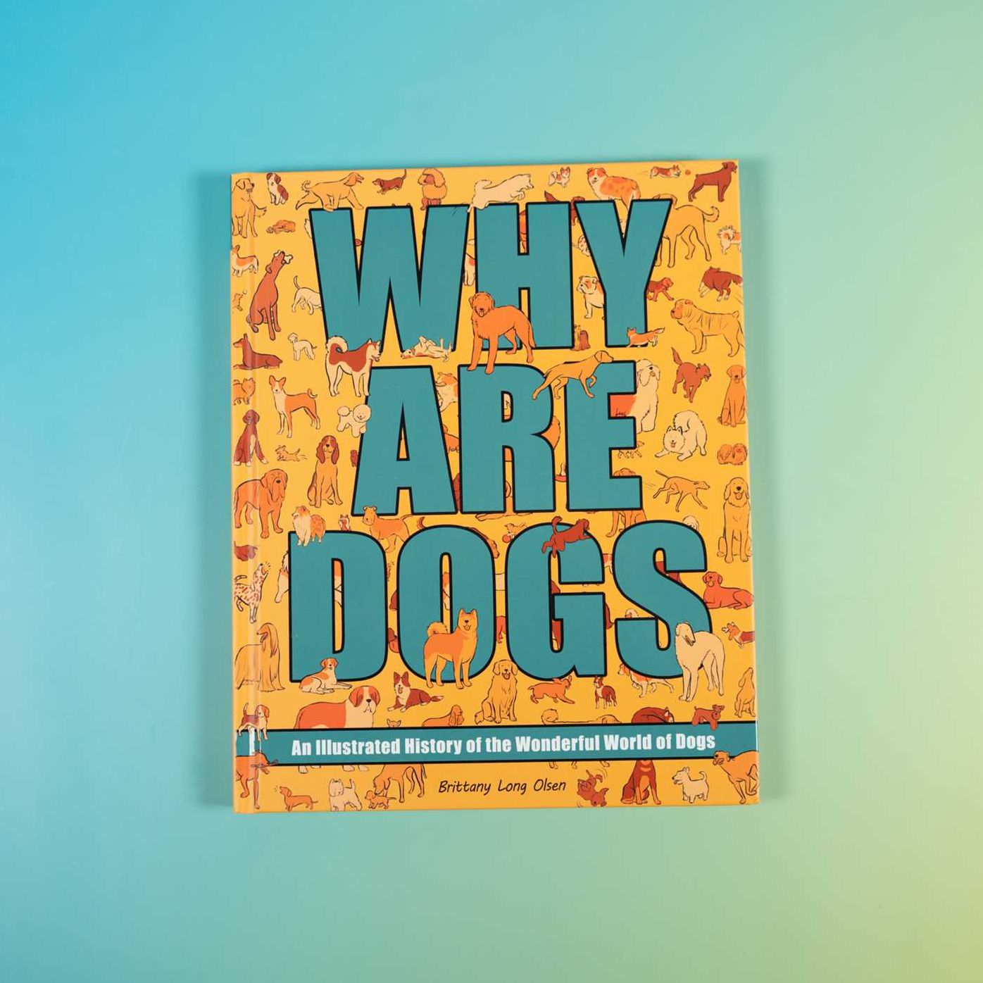 Why Are Dogs: An Illustrated History of the Wonderful World of Dogs