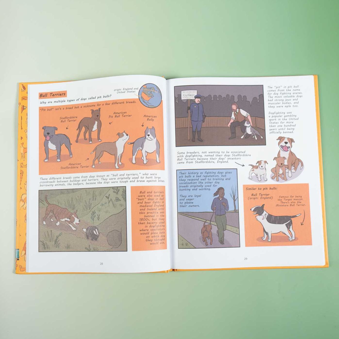 Why Are Dogs: An Illustrated History of the Wonderful World of Dogs