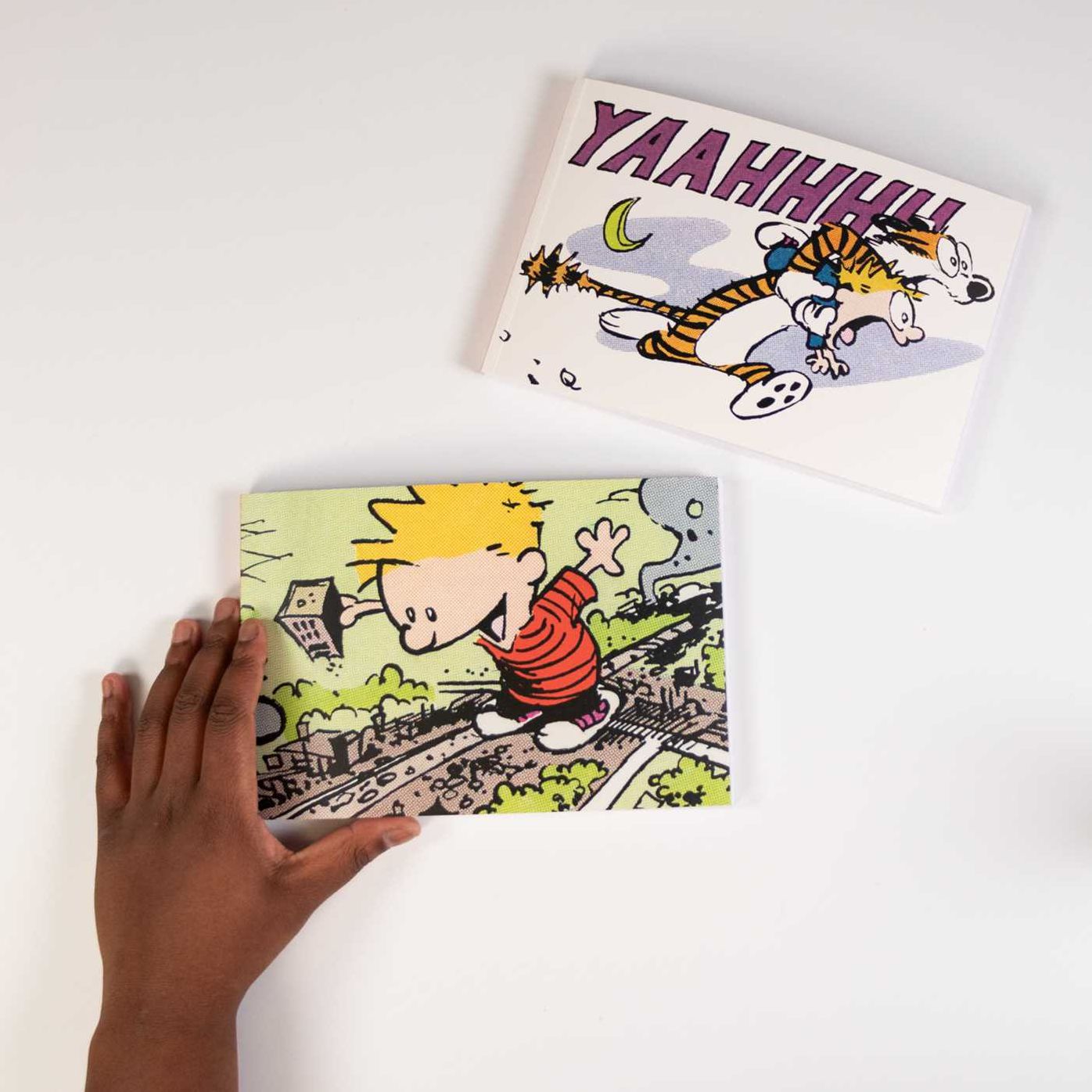 The Calvin and Hobbes Portable Compendium Set 2