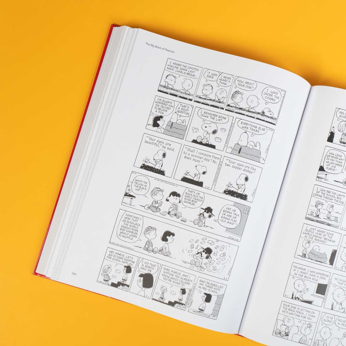 The Big Book of Peanuts: All the Daily Strips from the 1990s