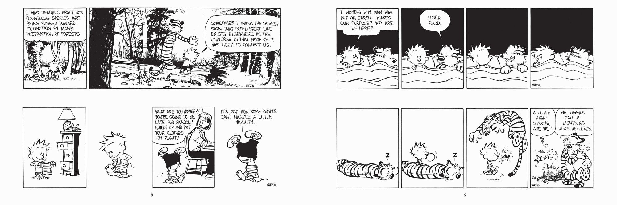 The Calvin and Hobbes Portable Compendium Set 4