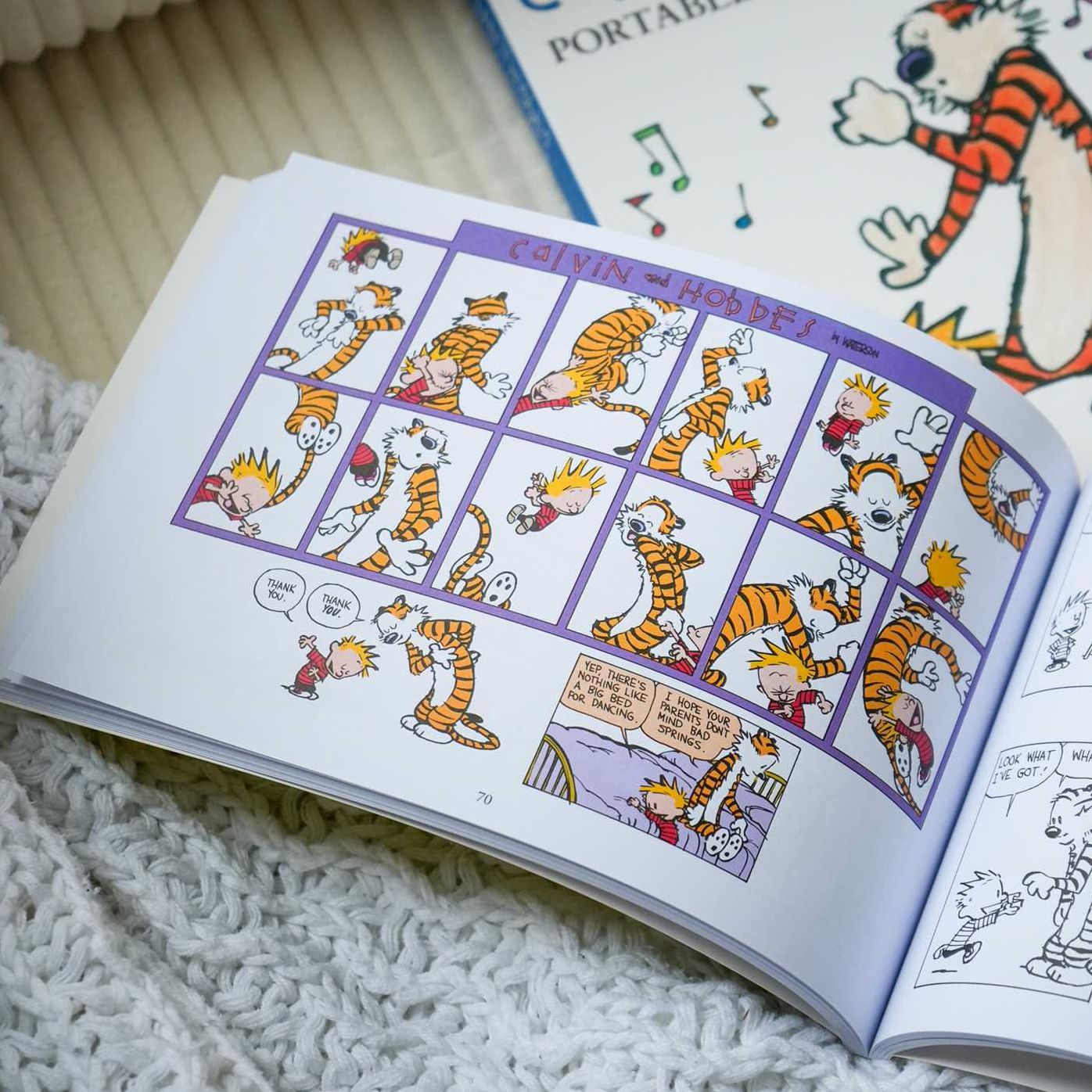 The Calvin and Hobbes Portable Compendium Set 6