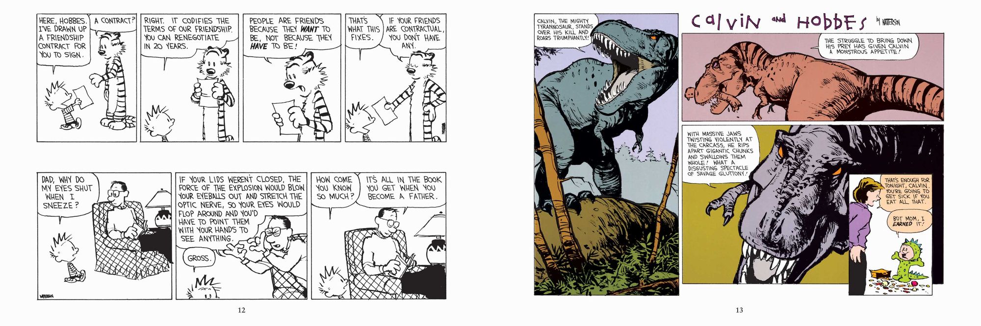 The Calvin and Hobbes Portable Compendium Set 6