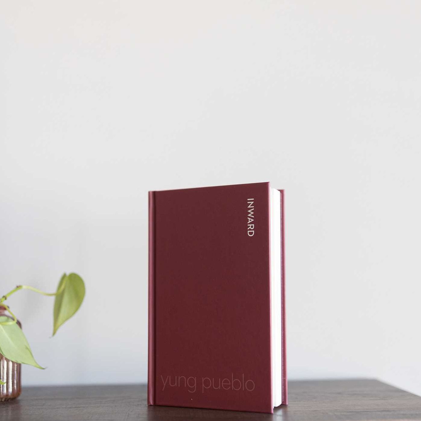 The Inward Trilogy: yung pueblo Box Set