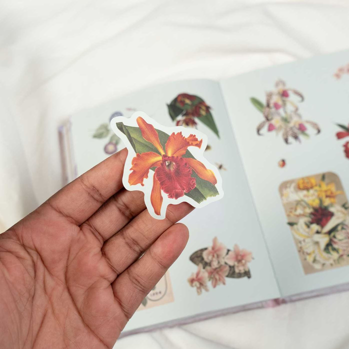 Cabinet of Curiosities II: Over 1,000 Curated Stickers from the Fascinating Collections of the Smithsonian