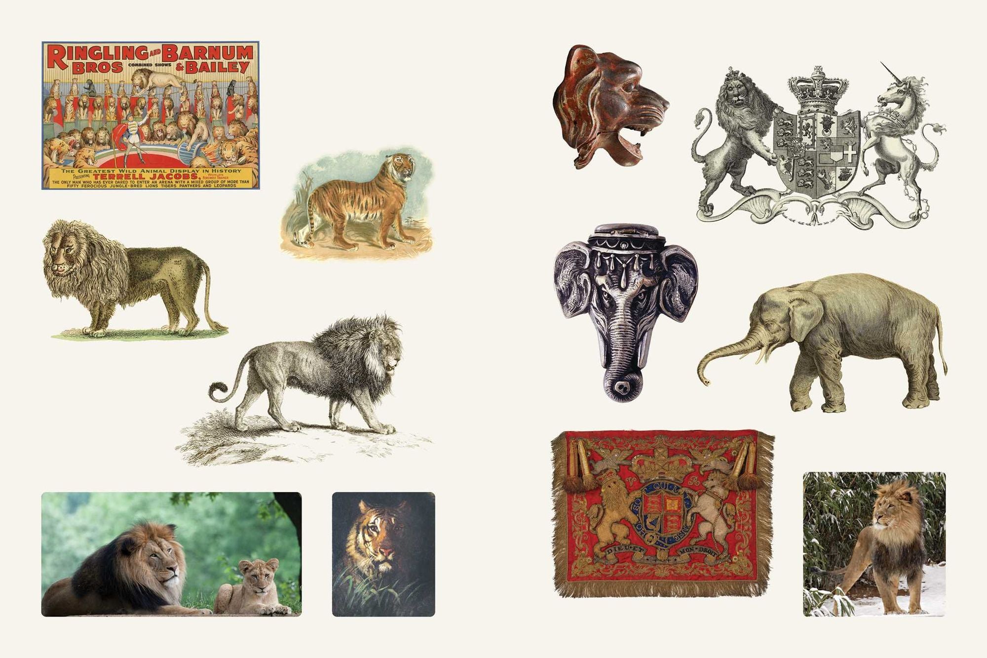 Cabinet of Curiosities II: Over 1,000 Curated Stickers from the Fascinating Collections of the Smithsonian
