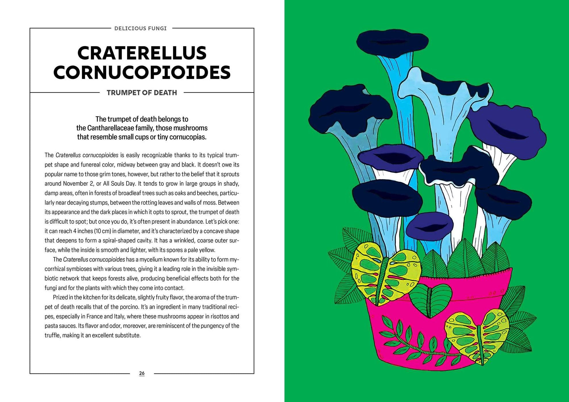 Powerful Mushrooms: An Illustrated Anthology