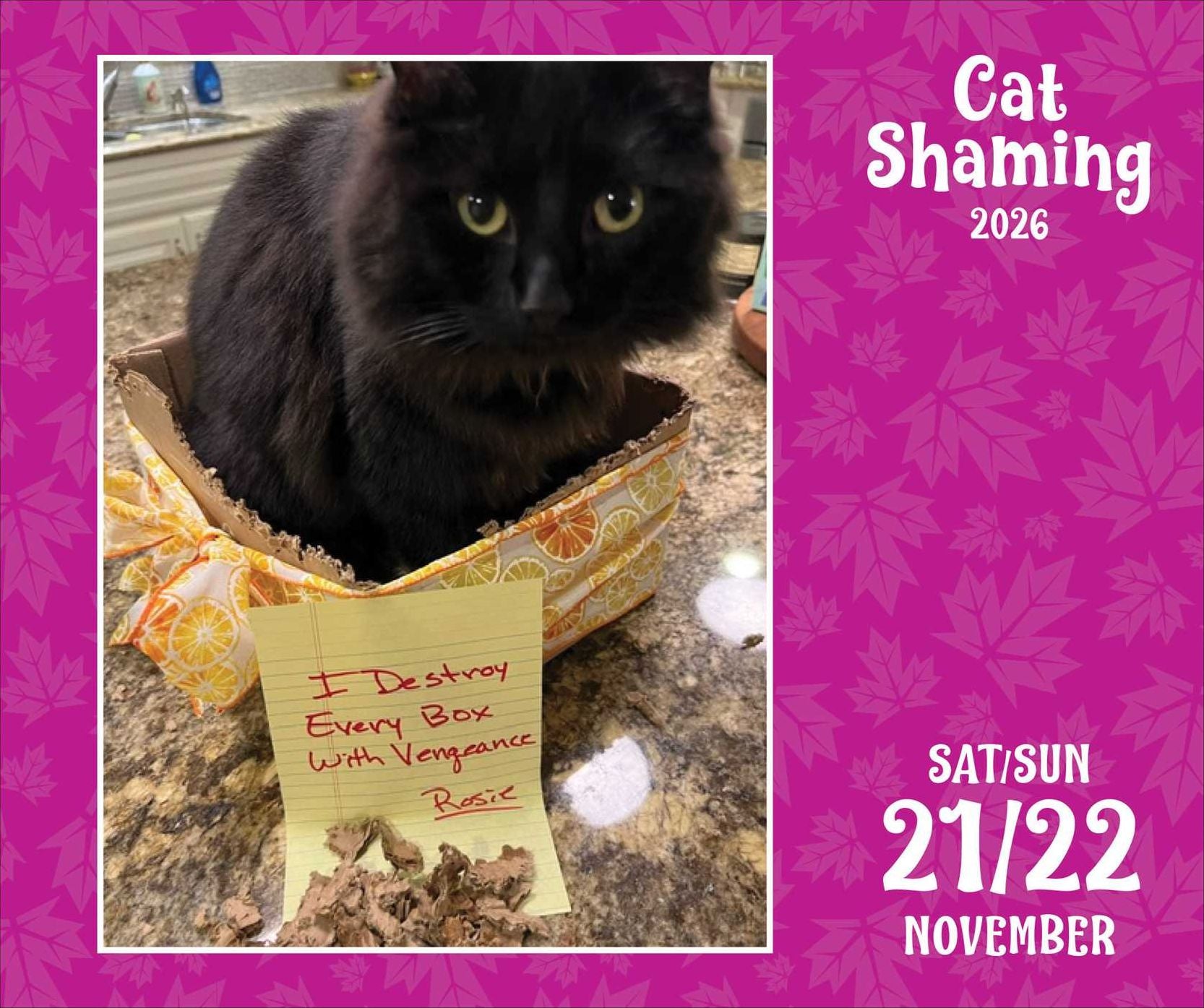2026 Cat Shaming Day-to-Day Calendar