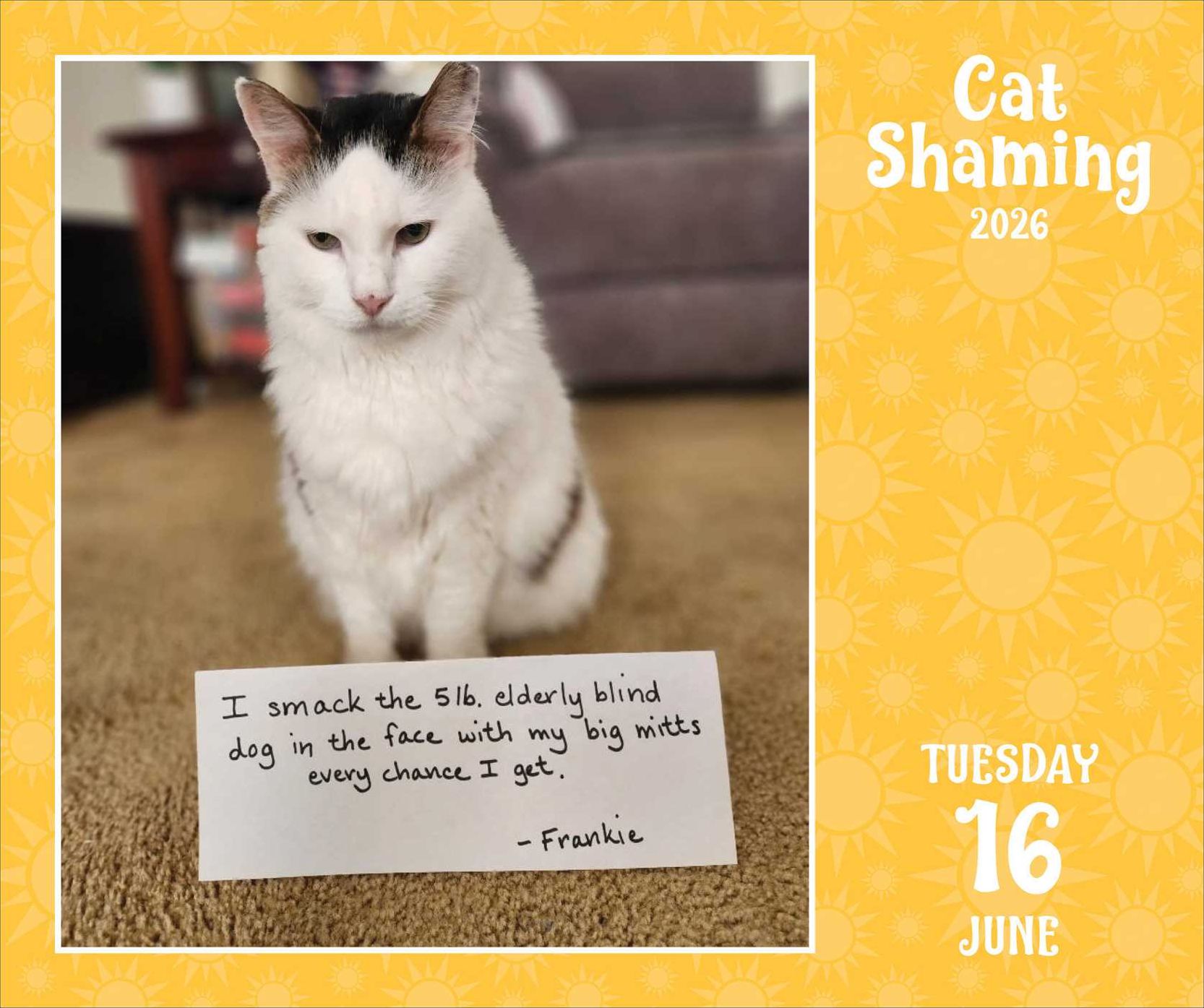 2026 Cat Shaming Day-to-Day Calendar