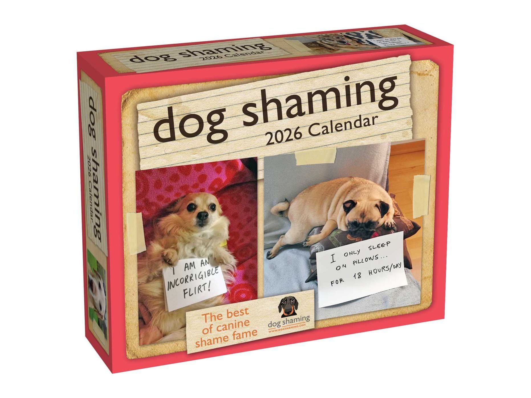 2026 Dog Shaming Day-to-Day Calendar