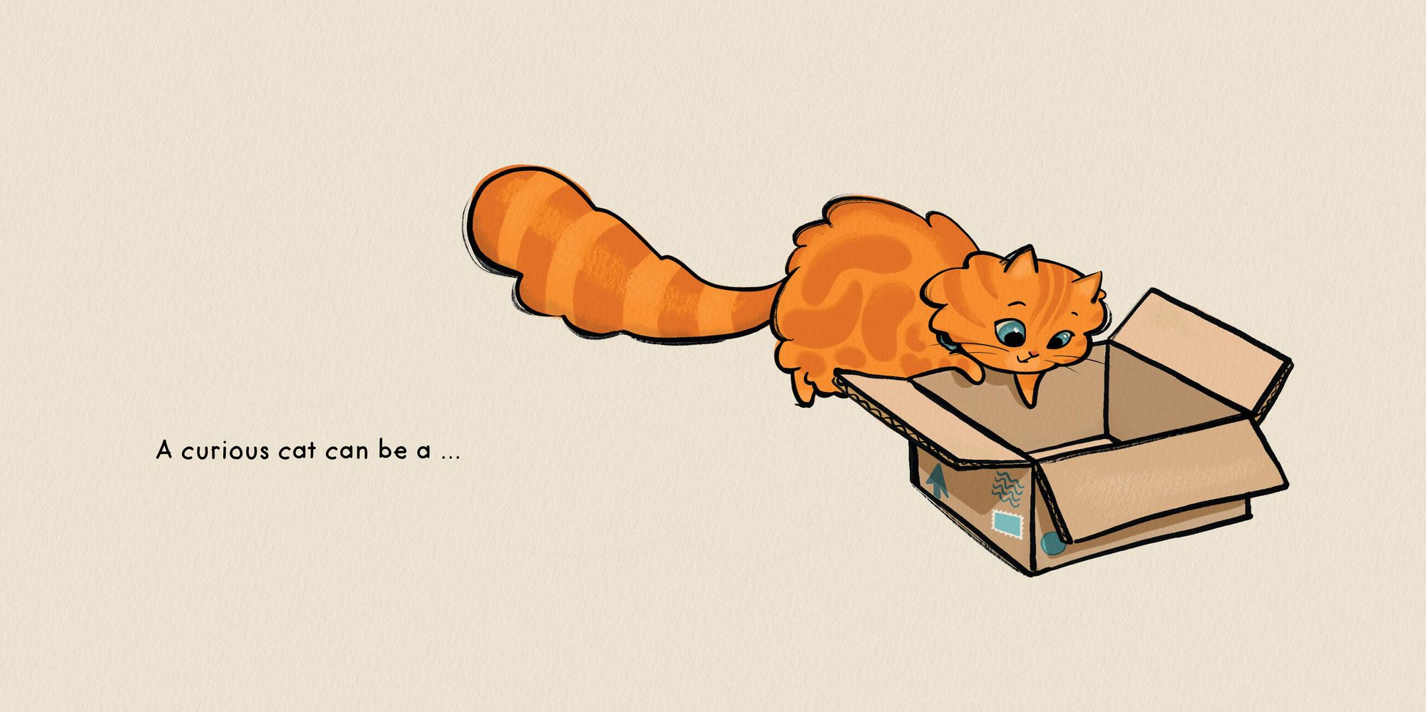 Cat Shapes