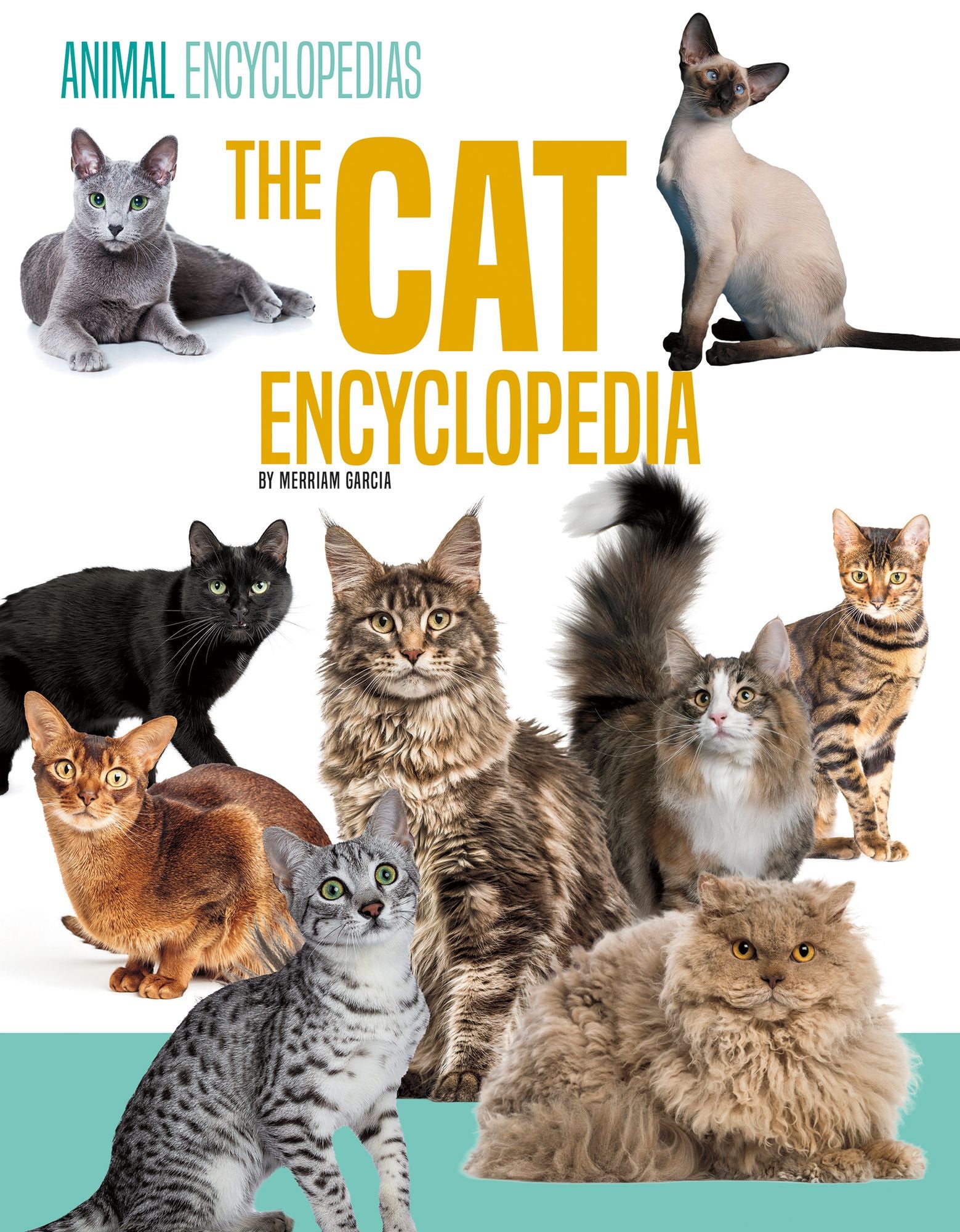 Cat Encyclopedia for Kids