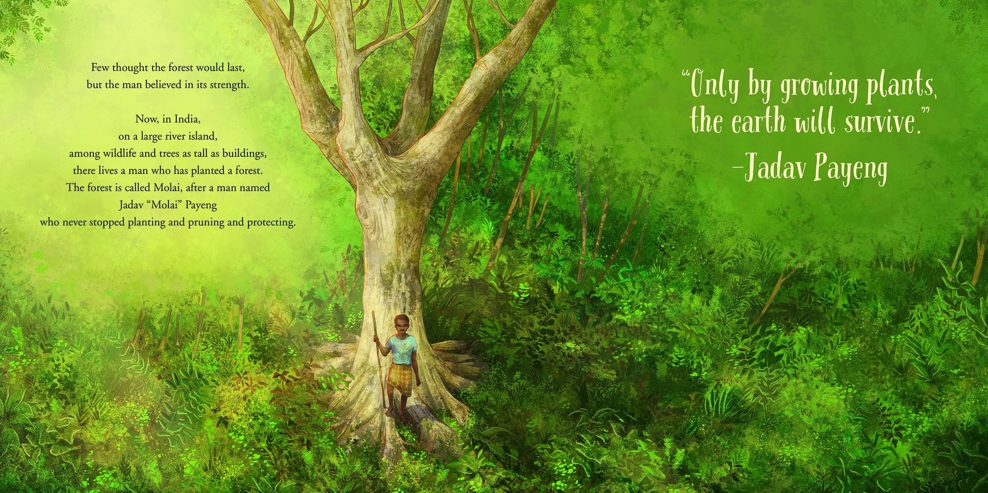 The Boy Who Grew a Forest: The True Story of Jadav Payeng