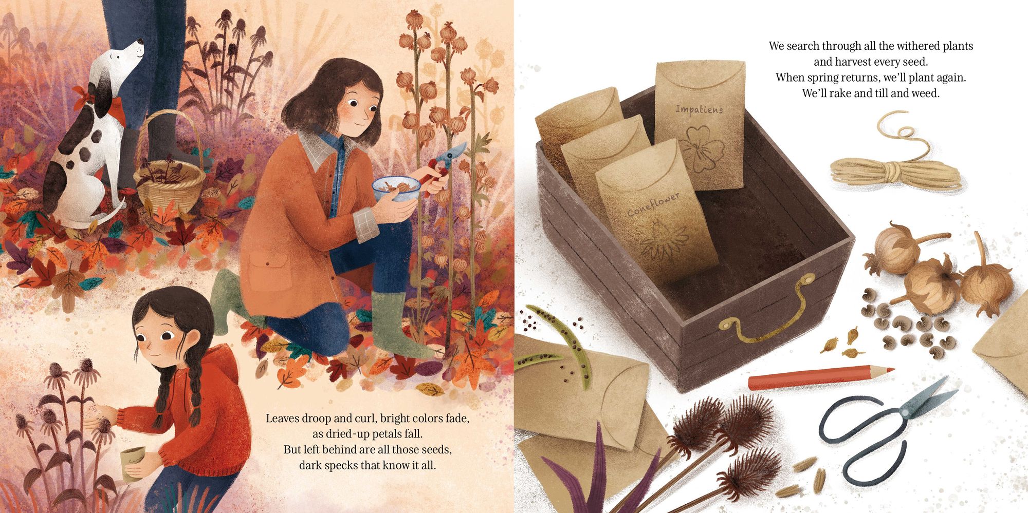 Every Little Seed