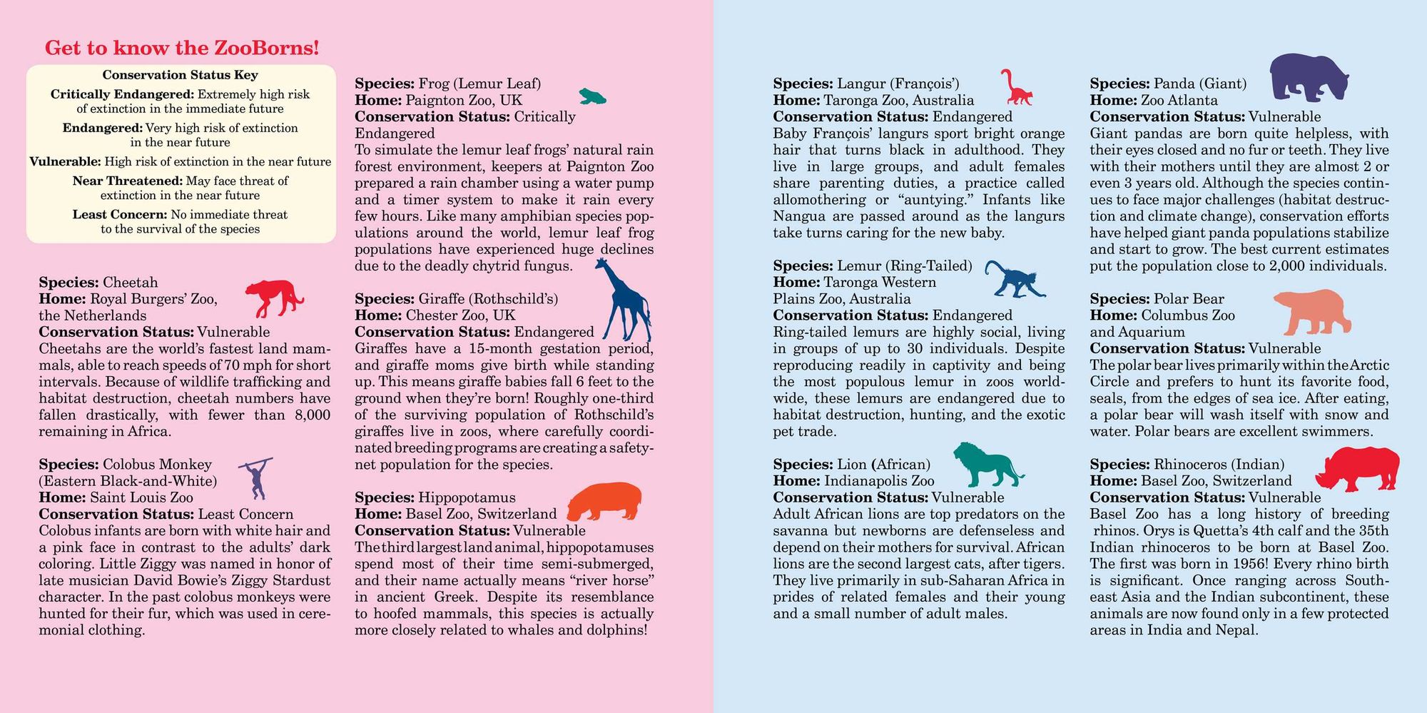 ZigZag ZooBorns!: Zoo Baby Colors and Patterns