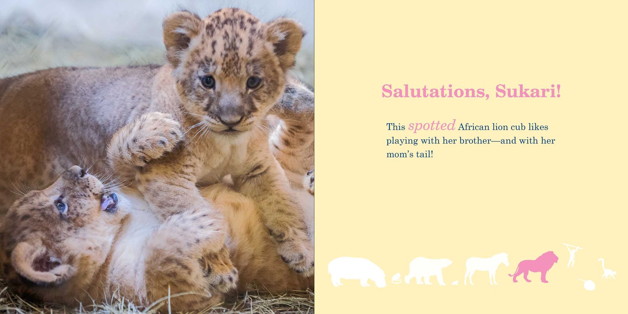 ZigZag ZooBorns!: Zoo Baby Colors and Patterns