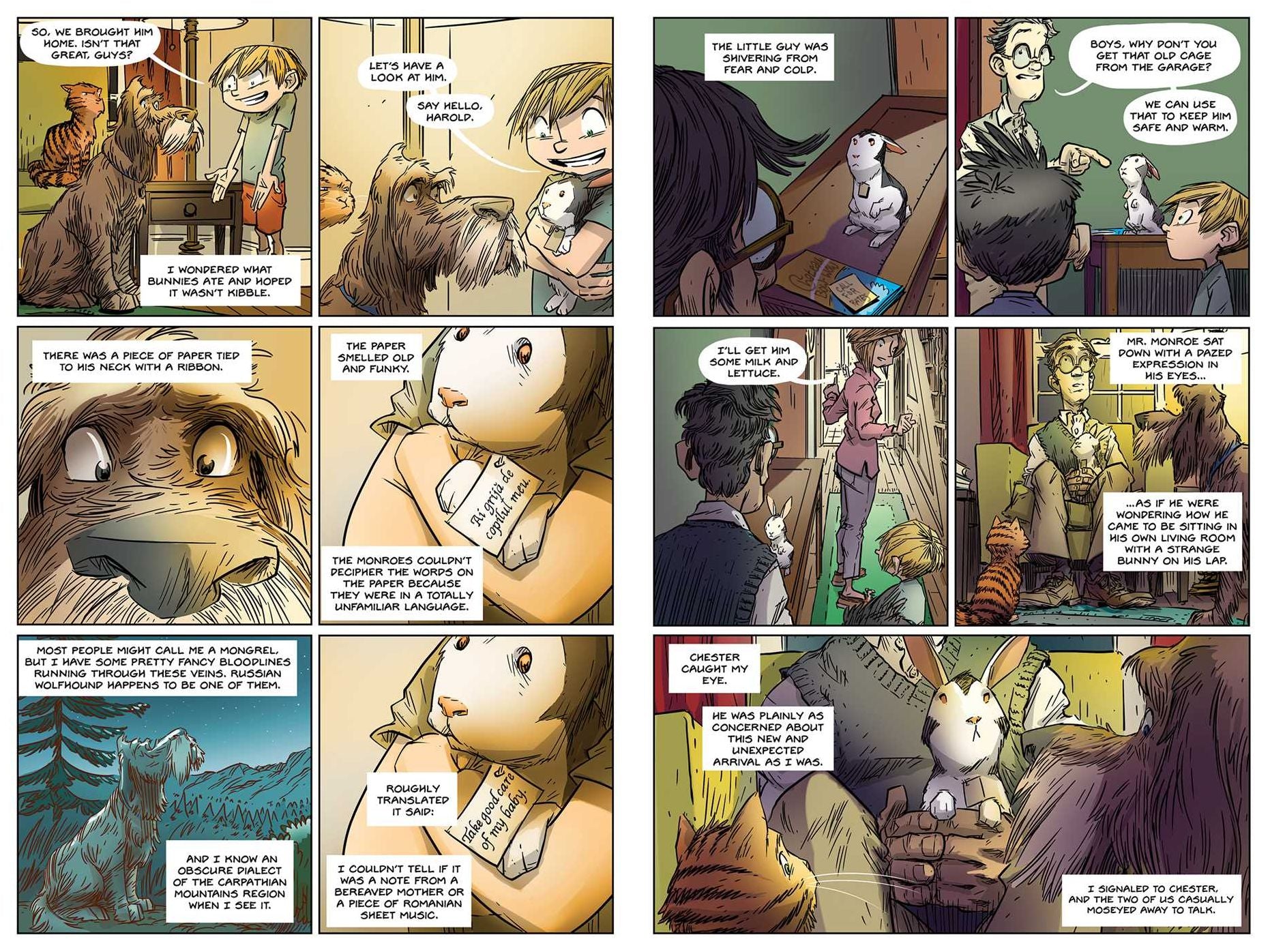 Bunnicula the Graphic Novel