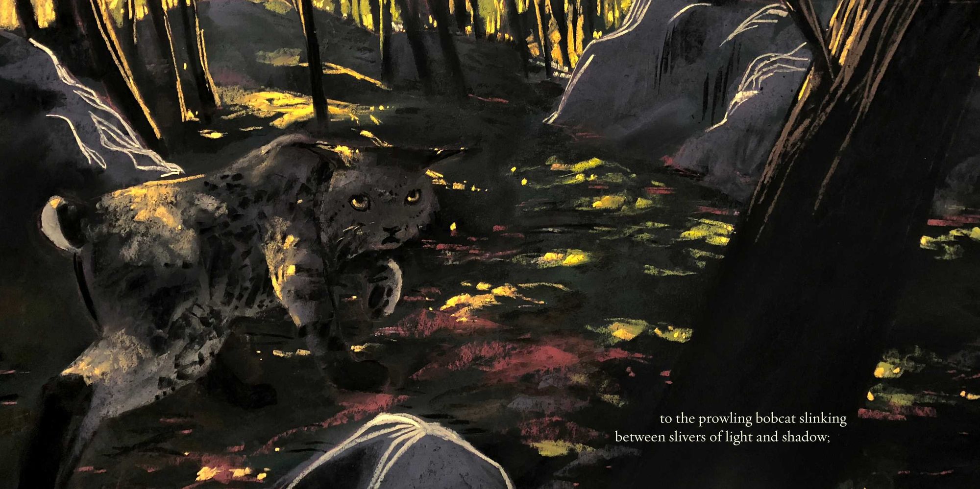 You Are Home: An Ode to the National Parks